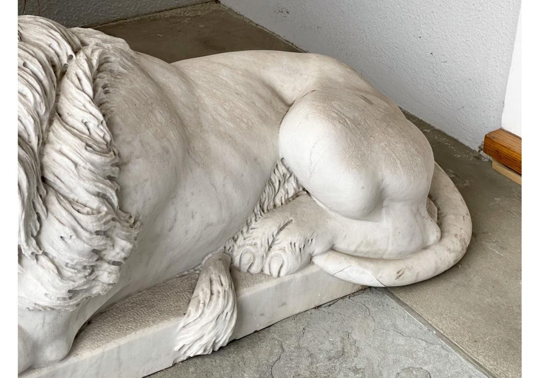 Magnificent Compatible Pair Of  Recumbent  Carved Marble Lions In Distressed Condition For Sale In Bridgeport, CT