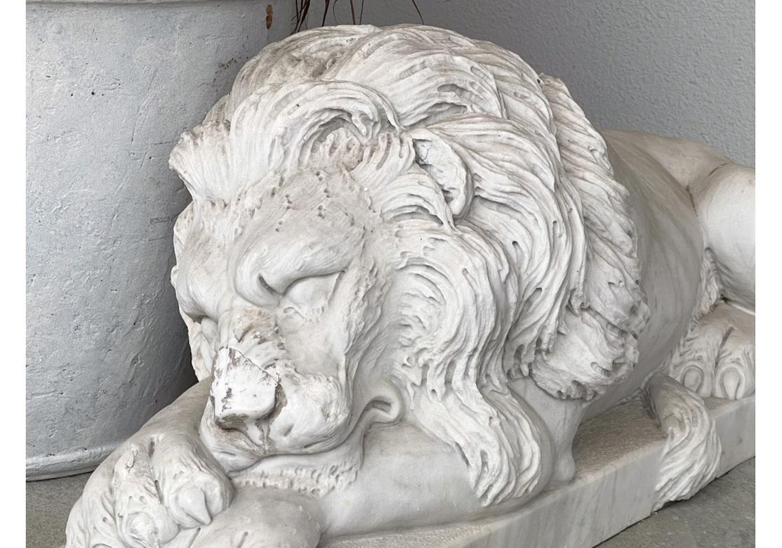 20th Century Magnificent Compatible Pair Of  Recumbent  Carved Marble Lions For Sale