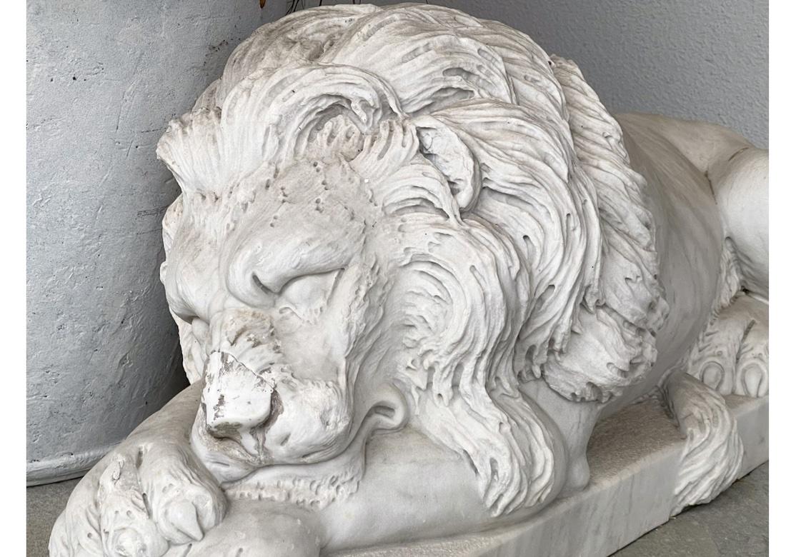 Magnificent Compatible Pair Of  Recumbent  Carved Marble Lions For Sale 1