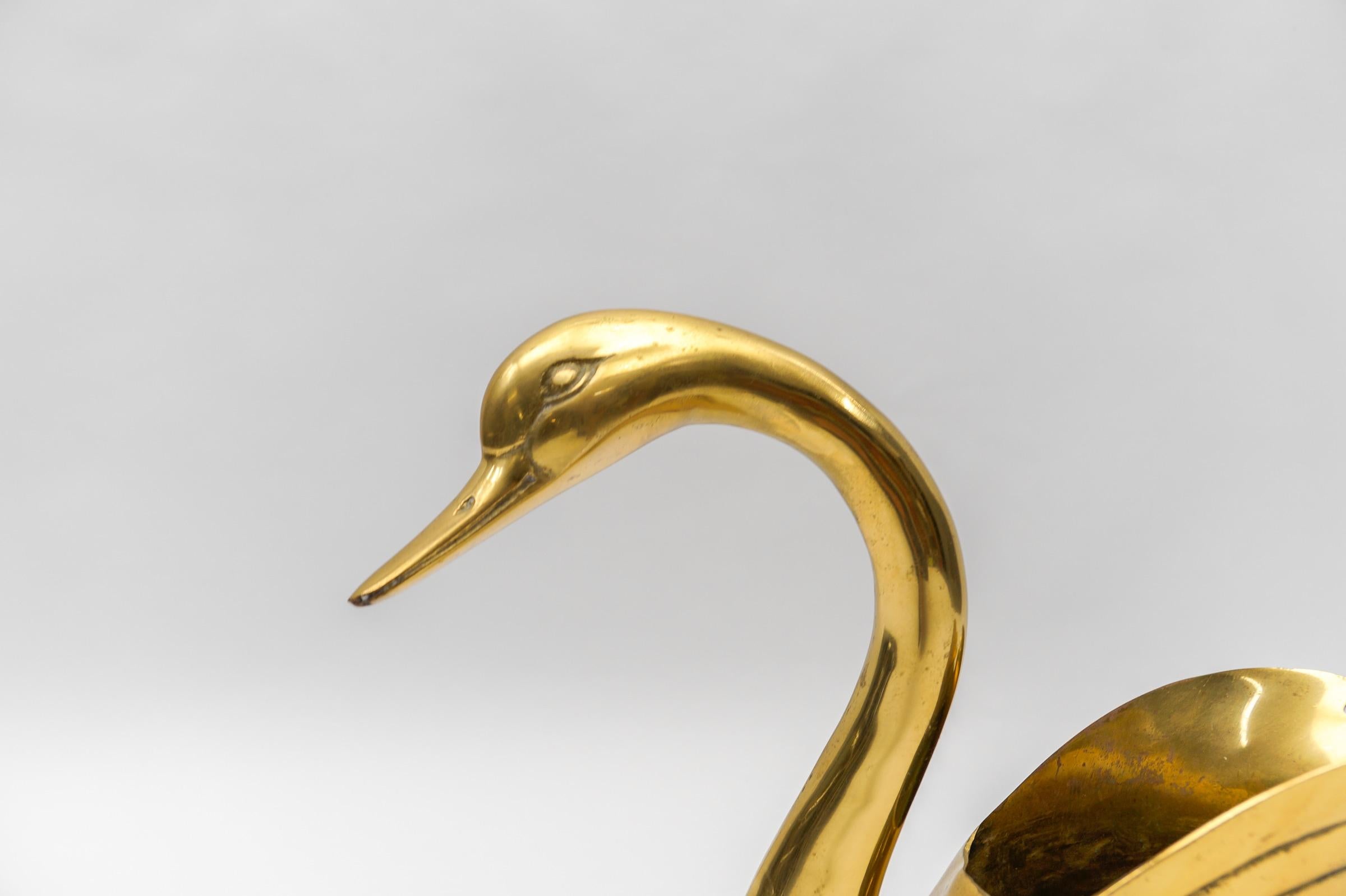Mid-Century Modern magnificent decorative swan / planter made of solid brass, 1960s Italy For Sale