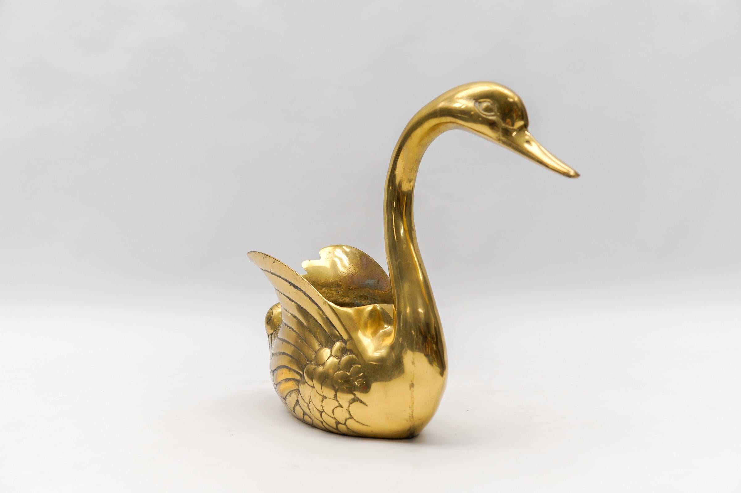 Leather magnificent decorative swan / planter made of solid brass, 1960s Italy For Sale