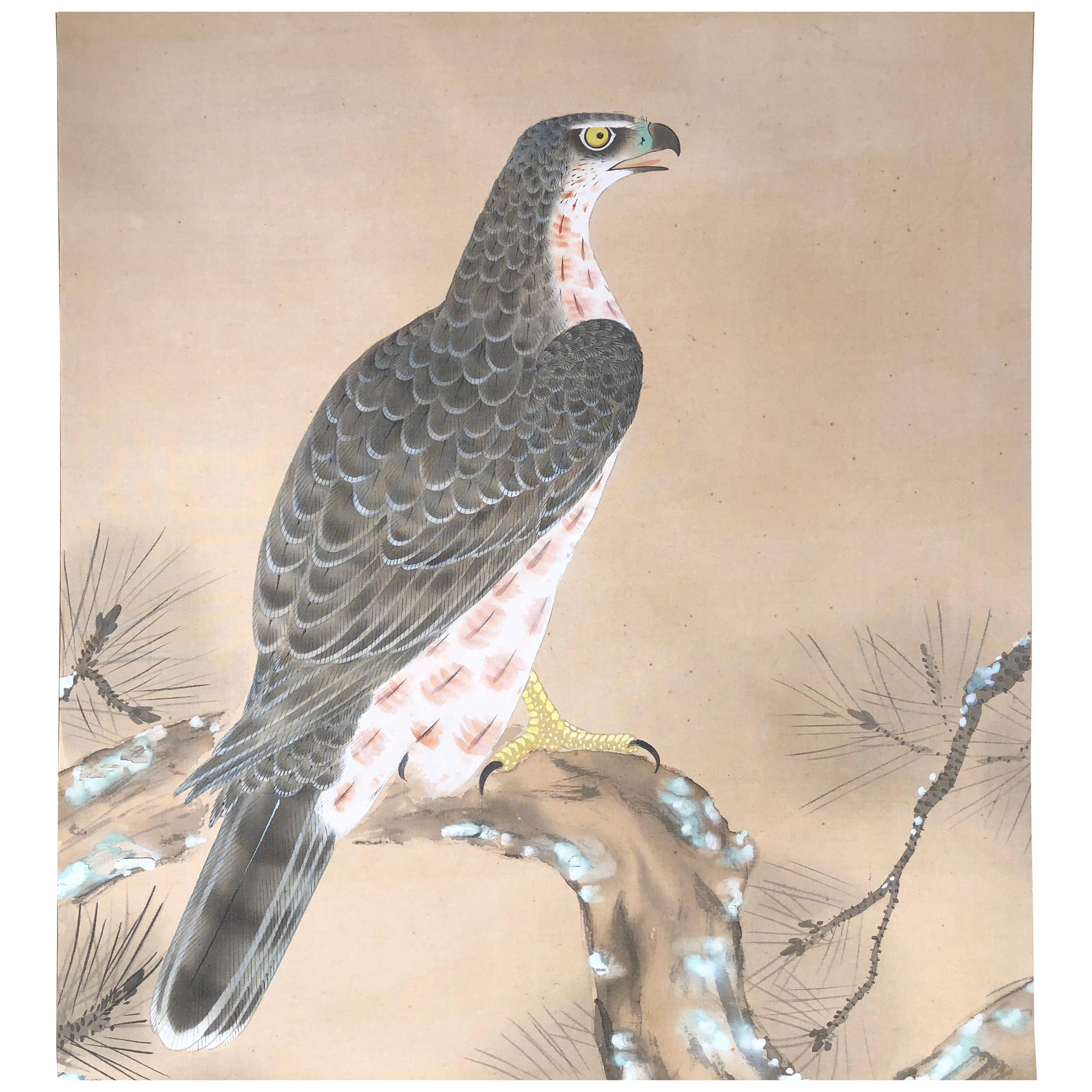 A very fine and delicate Japanese antique hand painted silk scroll of nature's king of birds, the eagle perched a top a tree, from circa 1930.

Hand painting in lively colors with great details, signed.

Old bone rollers and silk
