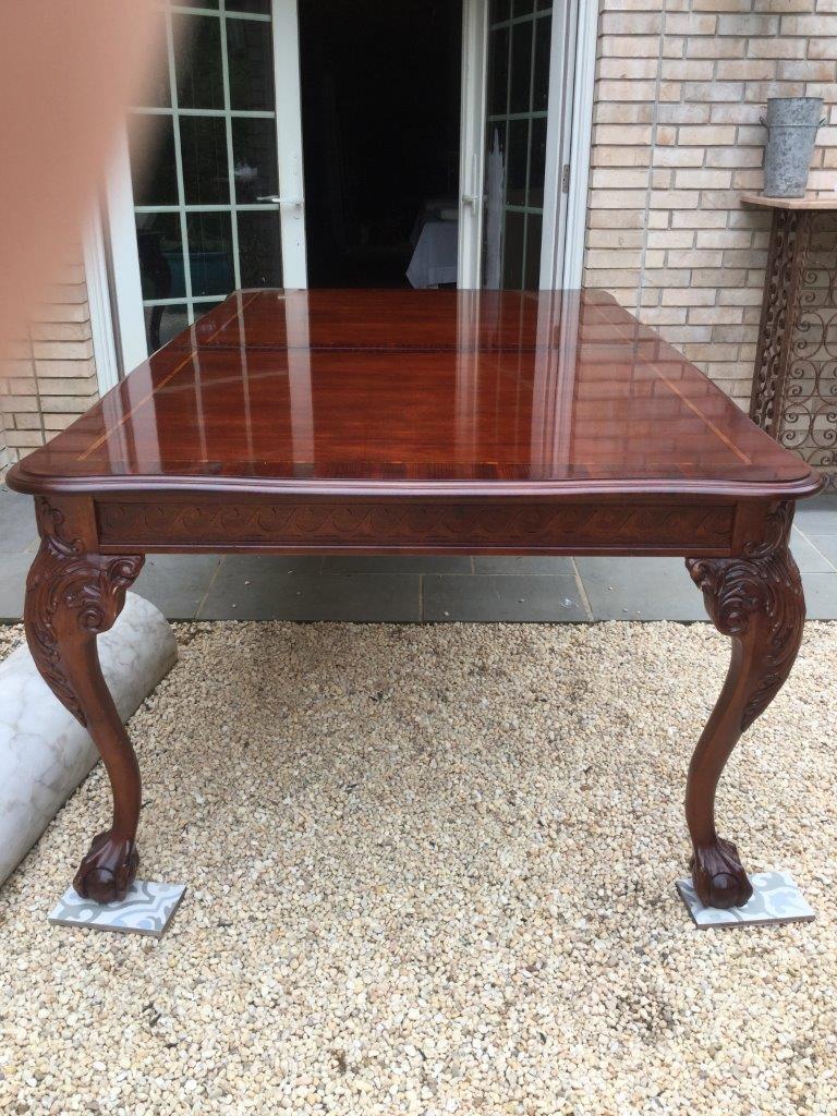 English Chippendale style dining table having a gorgeous high gloss finished top with satinwood banding around the outside perimeter and down the middle. Additional details include a well-carved impressive leg which ends in a ball and claw foot.