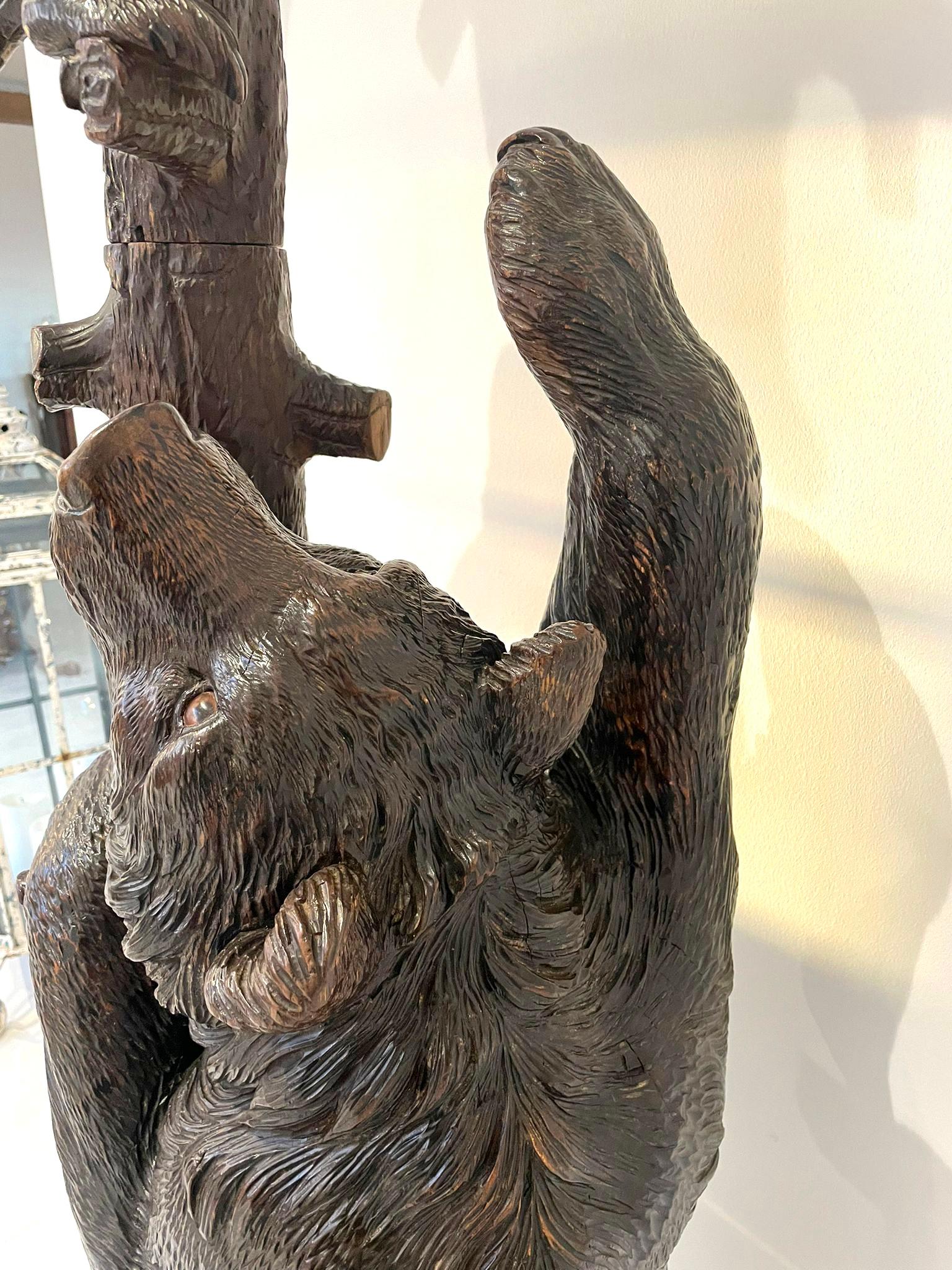 Chêne Magnifique stand d'exposition pour ours ancien de la forêt Black Forest en vente