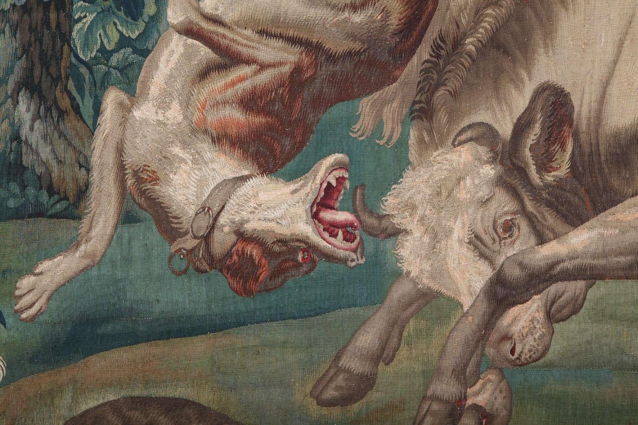Fino al XVIII secolo Magnifico  Arazzo storico fiammingo con la caccia al toro, XVII secolo in vendita