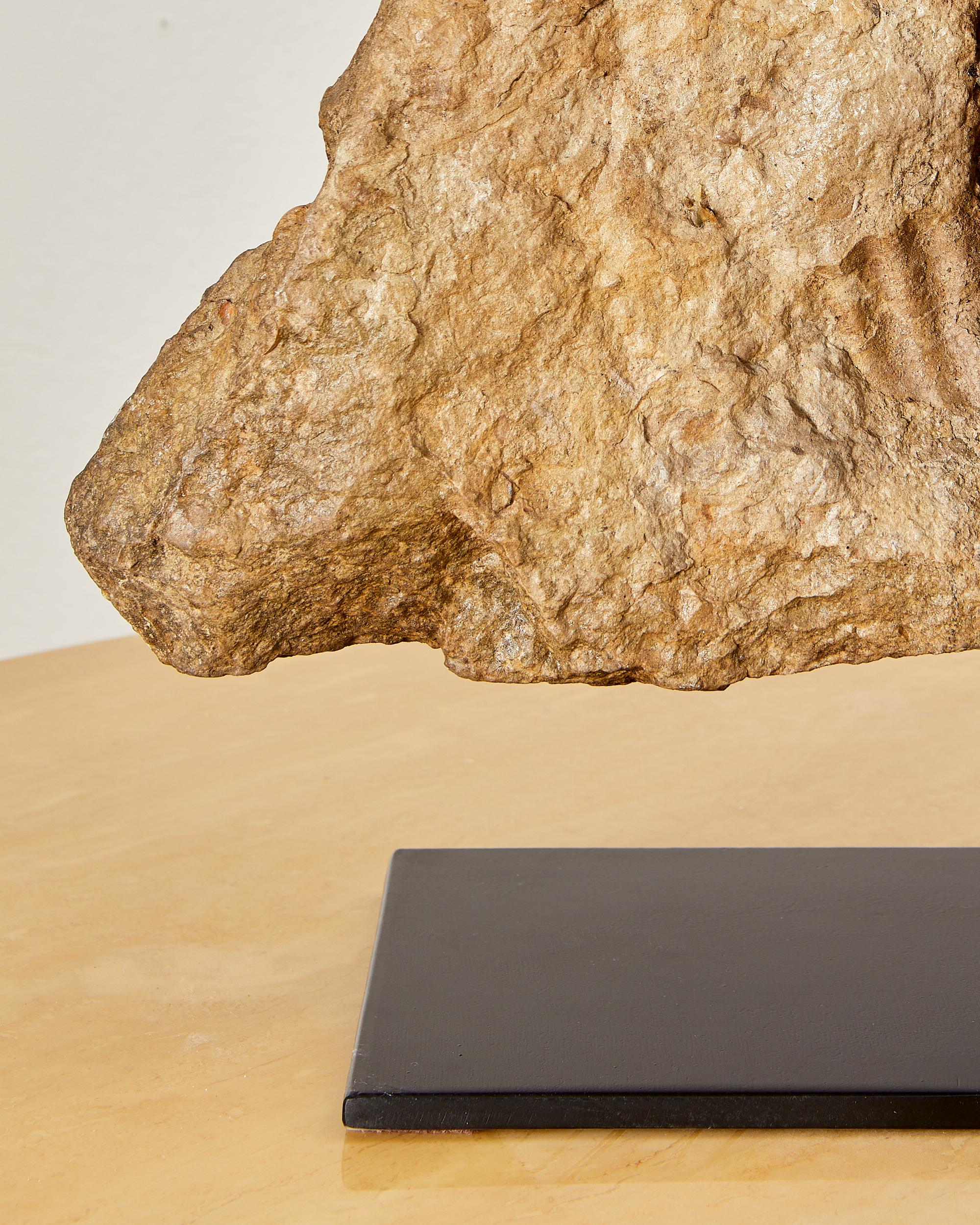 XVIIIe siècle et antérieur Magnifique fossile, ammonite, avec environ 335 millions d'années d'existence. en vente