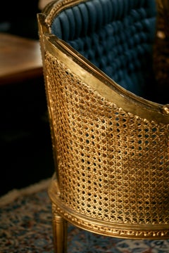 Magnificent French Louis XVI Gilded Cane Blue Settee or Canapé "Corbeille"