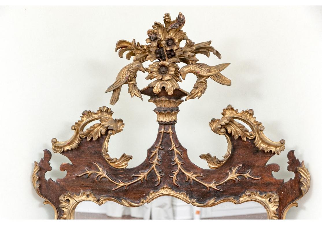 An exceptional Antique mirror having a fine contrasting Mahogany and Gilt wood frame with carved accents. The mirror is topped with an extravagant carved Floral crest and features a pair of Ravens. The Classic Georgian mirror frame is festooned with