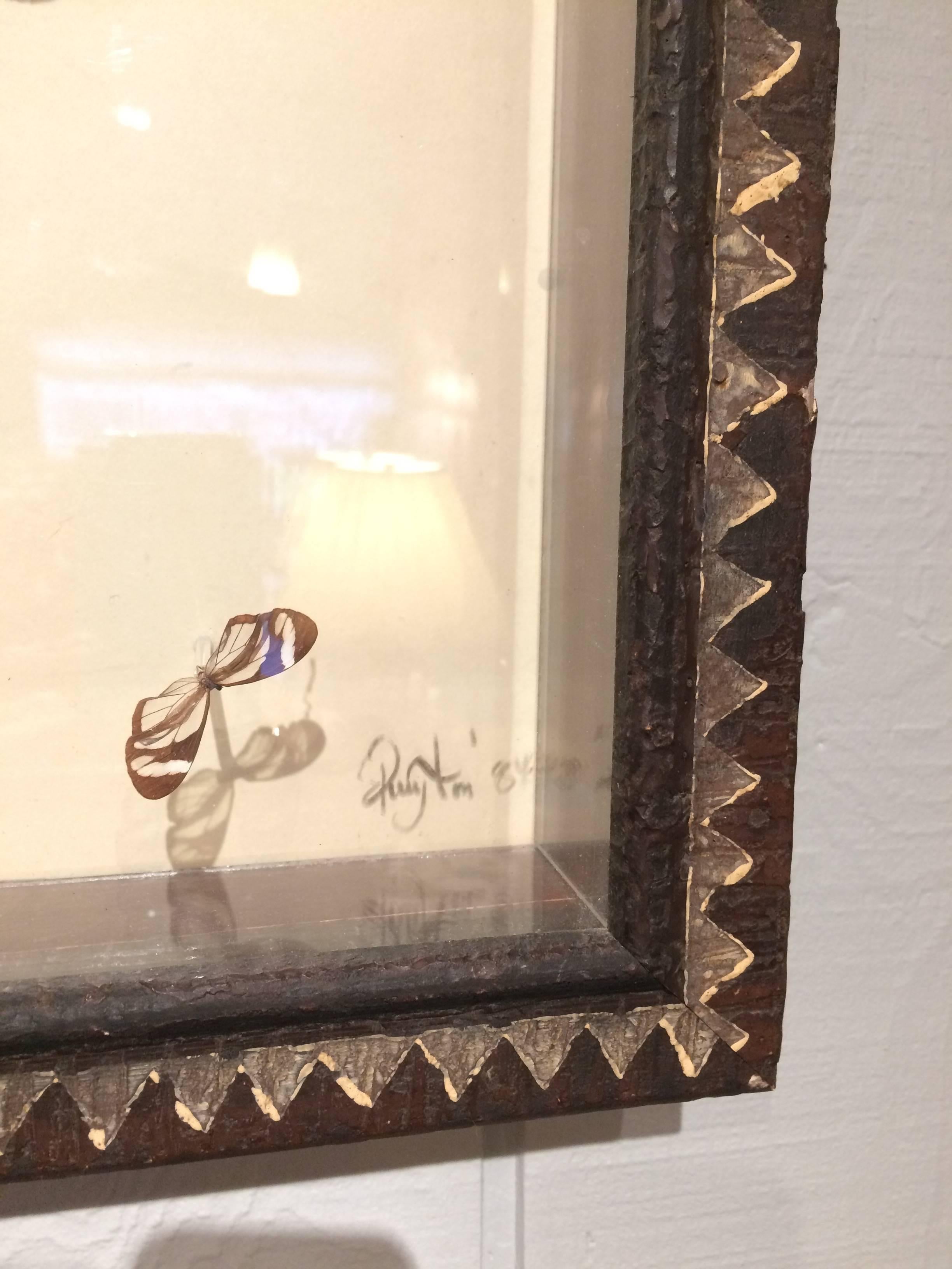 shadow box butterfly