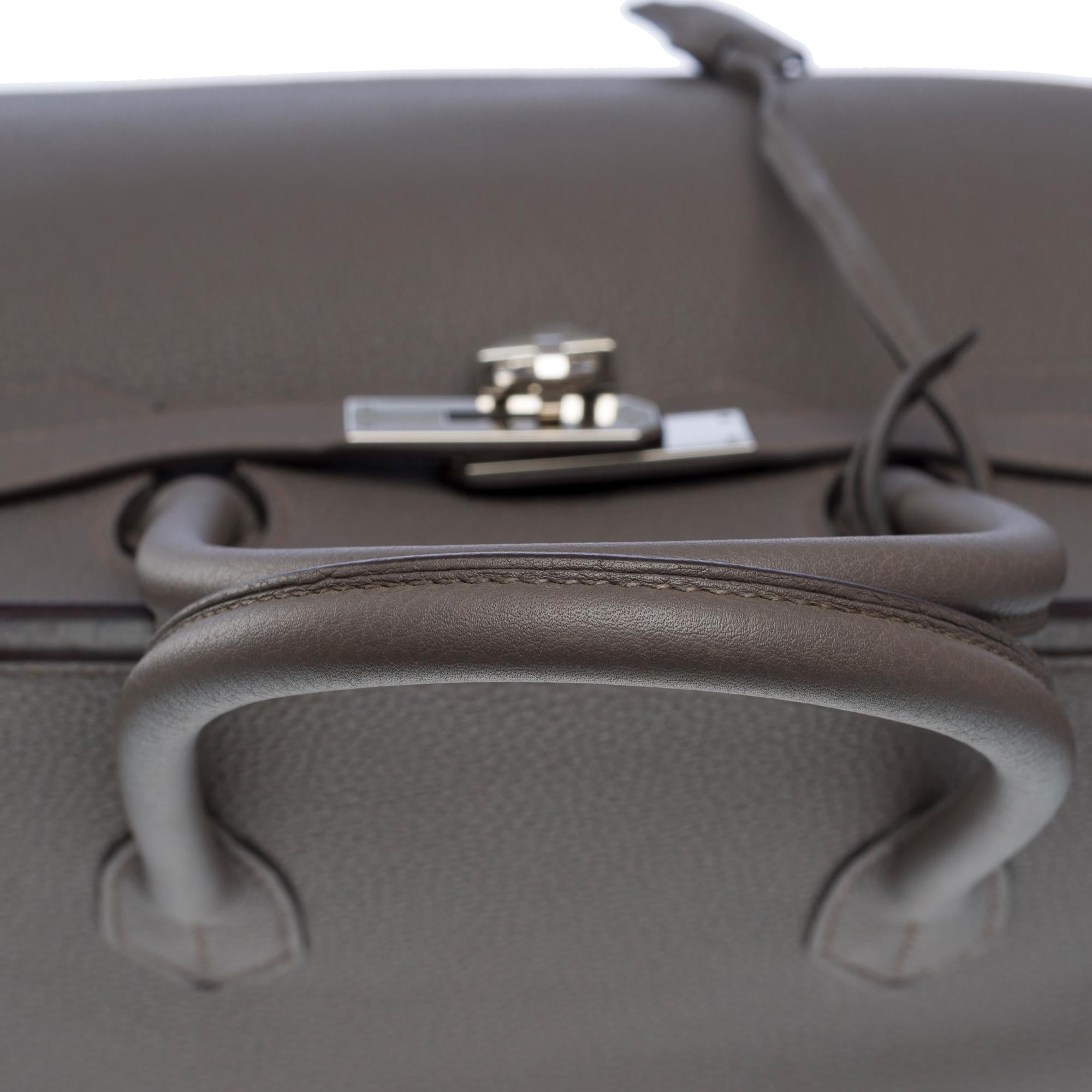 Magnificent Hermès Birkin 35 handbag in Etain Grey Togo leather, PHW 5