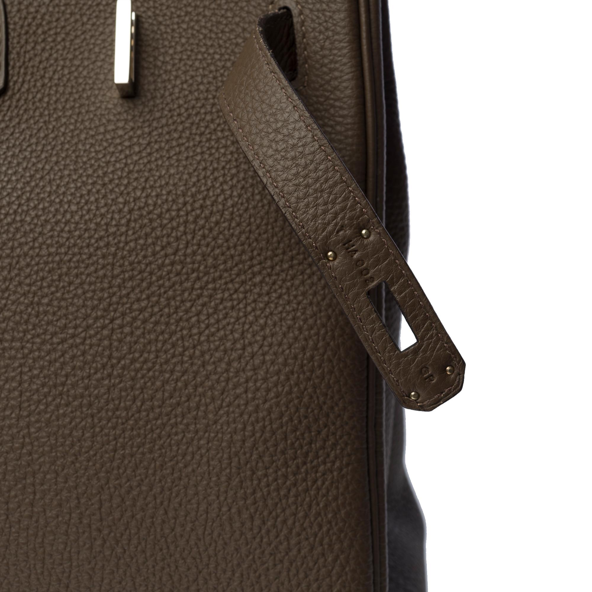 Magnificent Hermès Birkin 35 handbag in Gris Elephant Togo leather, SHW 3