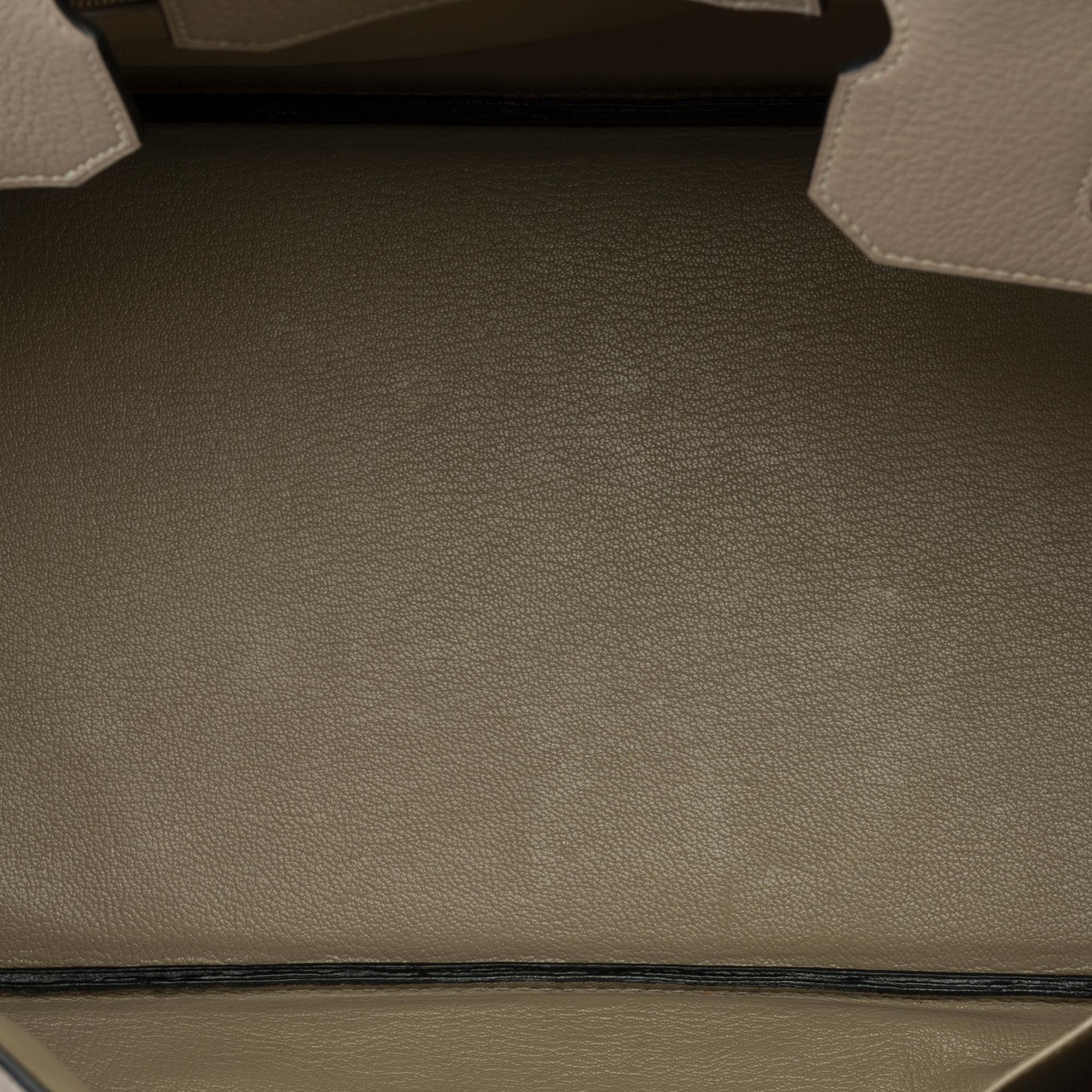 Magnificent Hermès Birkin 40 in Tourterelle Taurillon Clemence leather, PHW 6