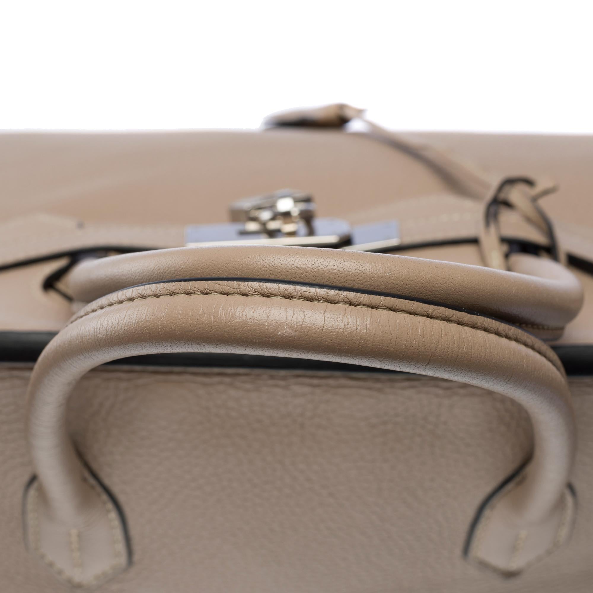 Magnificent Hermès Birkin 40 in Tourterelle Taurillon Clemence leather, PHW 7