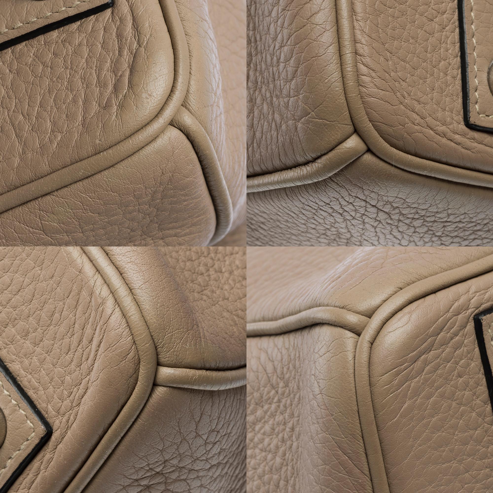 Magnificent Hermès Birkin 40 in Tourterelle Taurillon Clemence leather, PHW 9