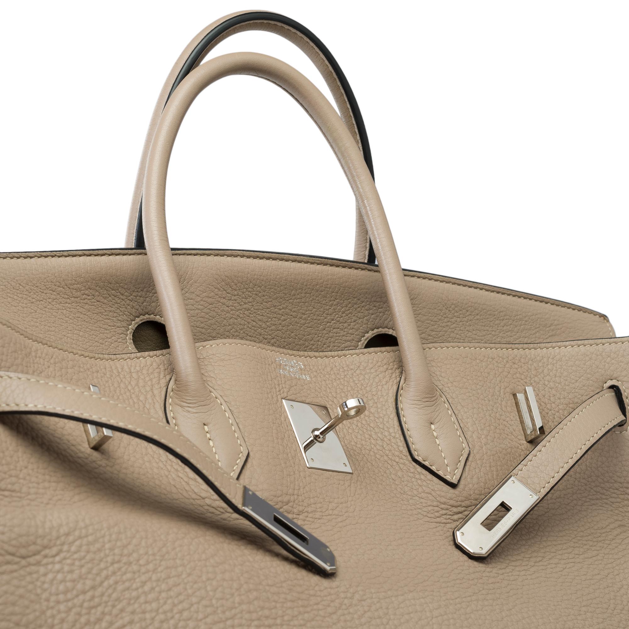 Magnificent Hermès Birkin 40 in Tourterelle Taurillon Clemence leather, PHW 4