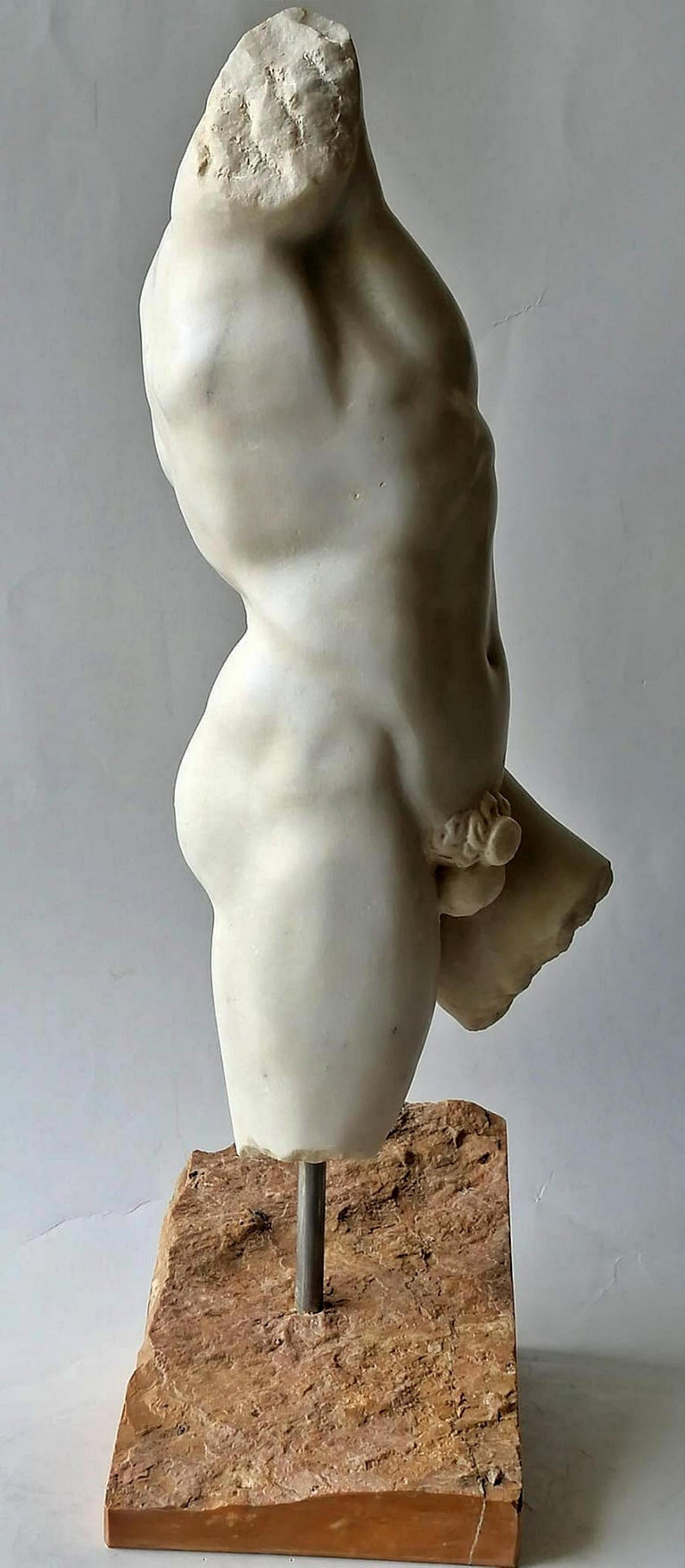 Magnificent Italian Torso Carrara Marble Early 20th Century H: 48cm
The height is including the base
Good conditions.


