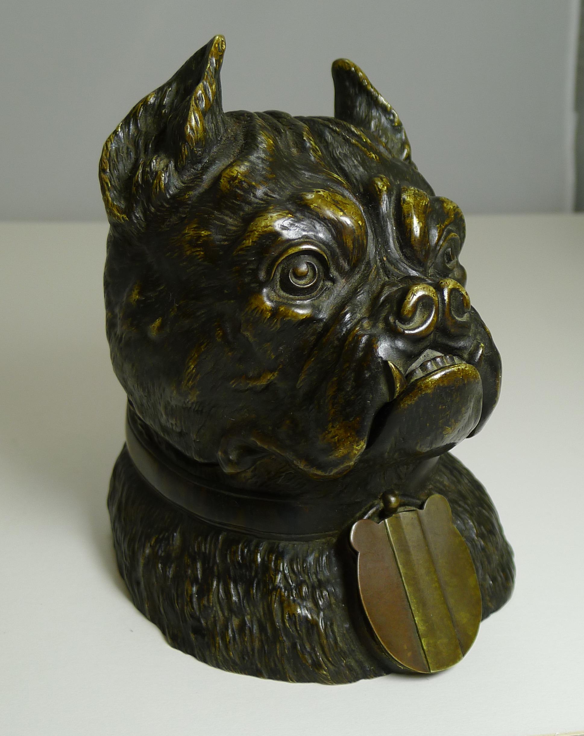 Magnificent Large Antique English Bronze Bulldog Inkwell, circa 1890, Dogs 5