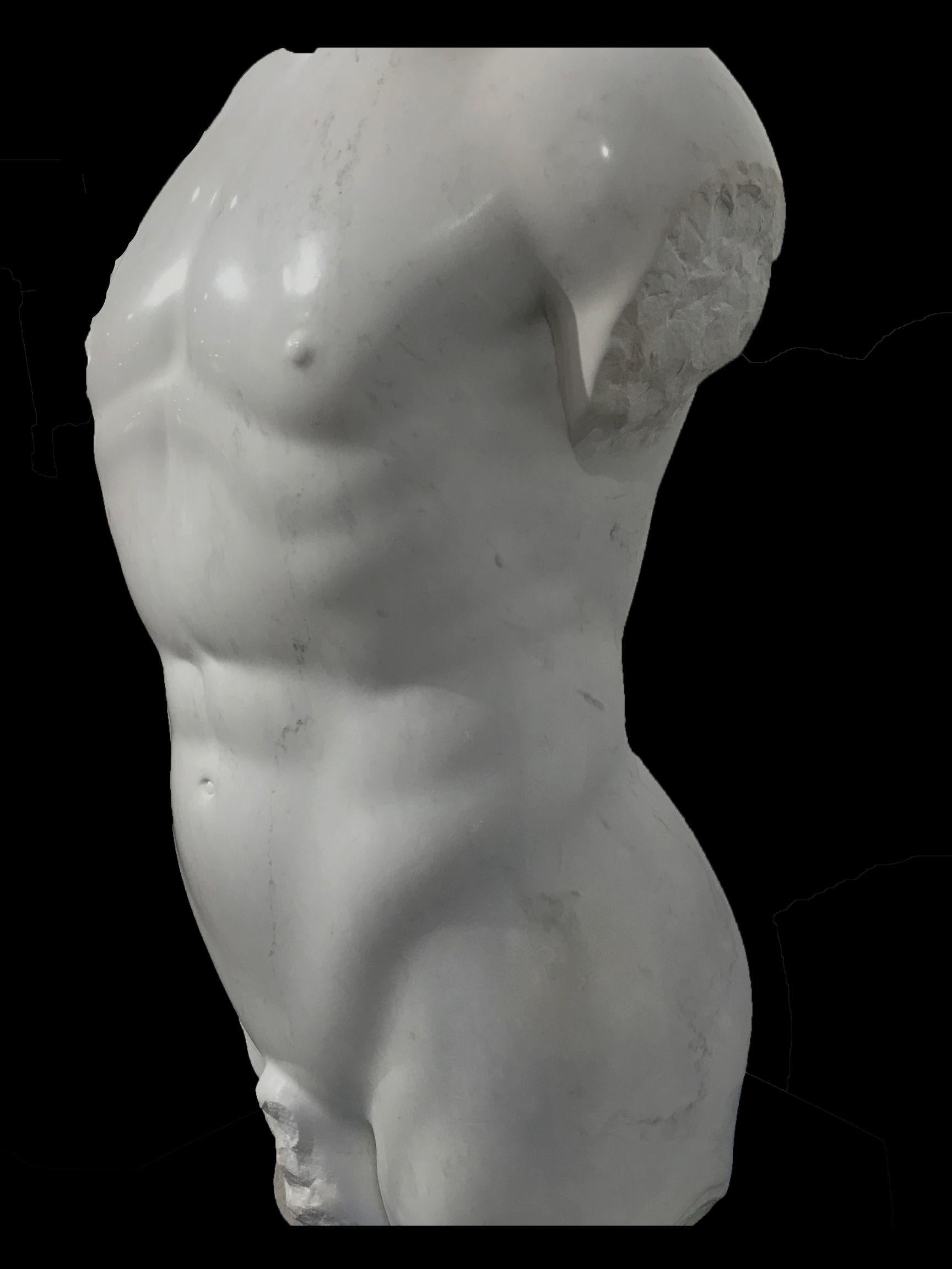 Modern Magnificent Large Hand Carved Marble Nude Male Torso