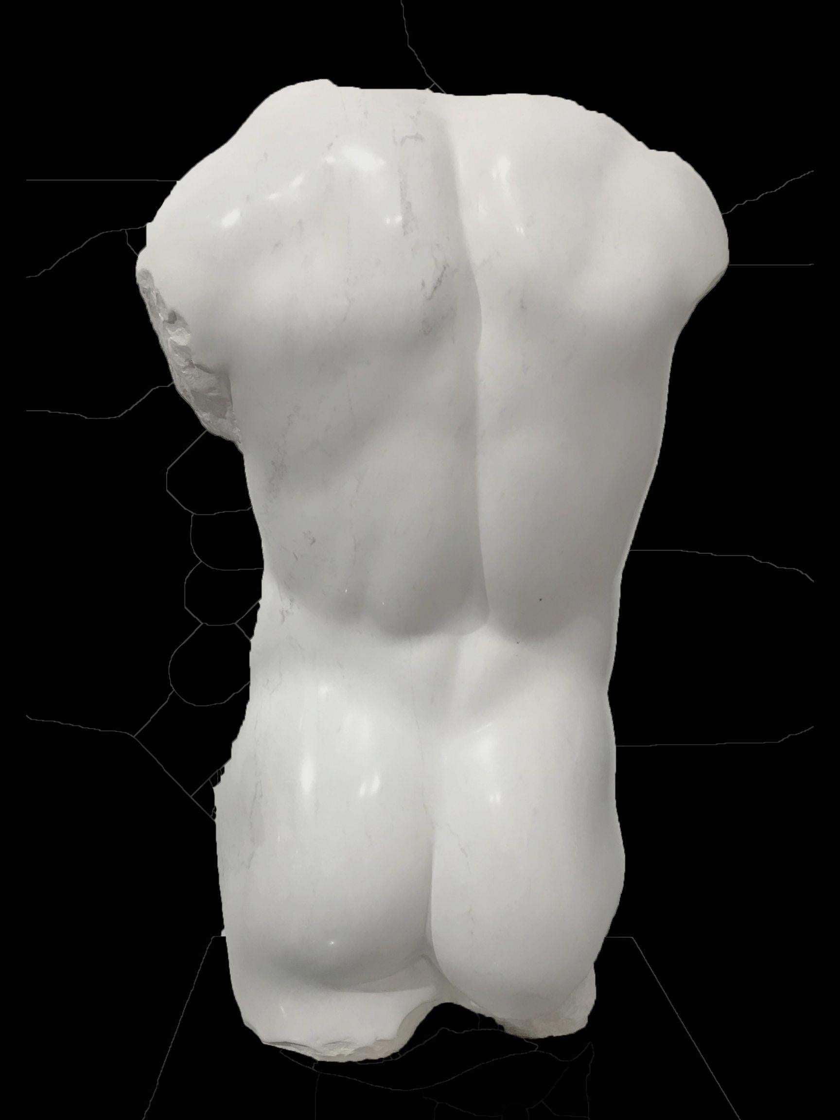 Canadian Magnificent Large Hand Carved Marble Nude Male Torso