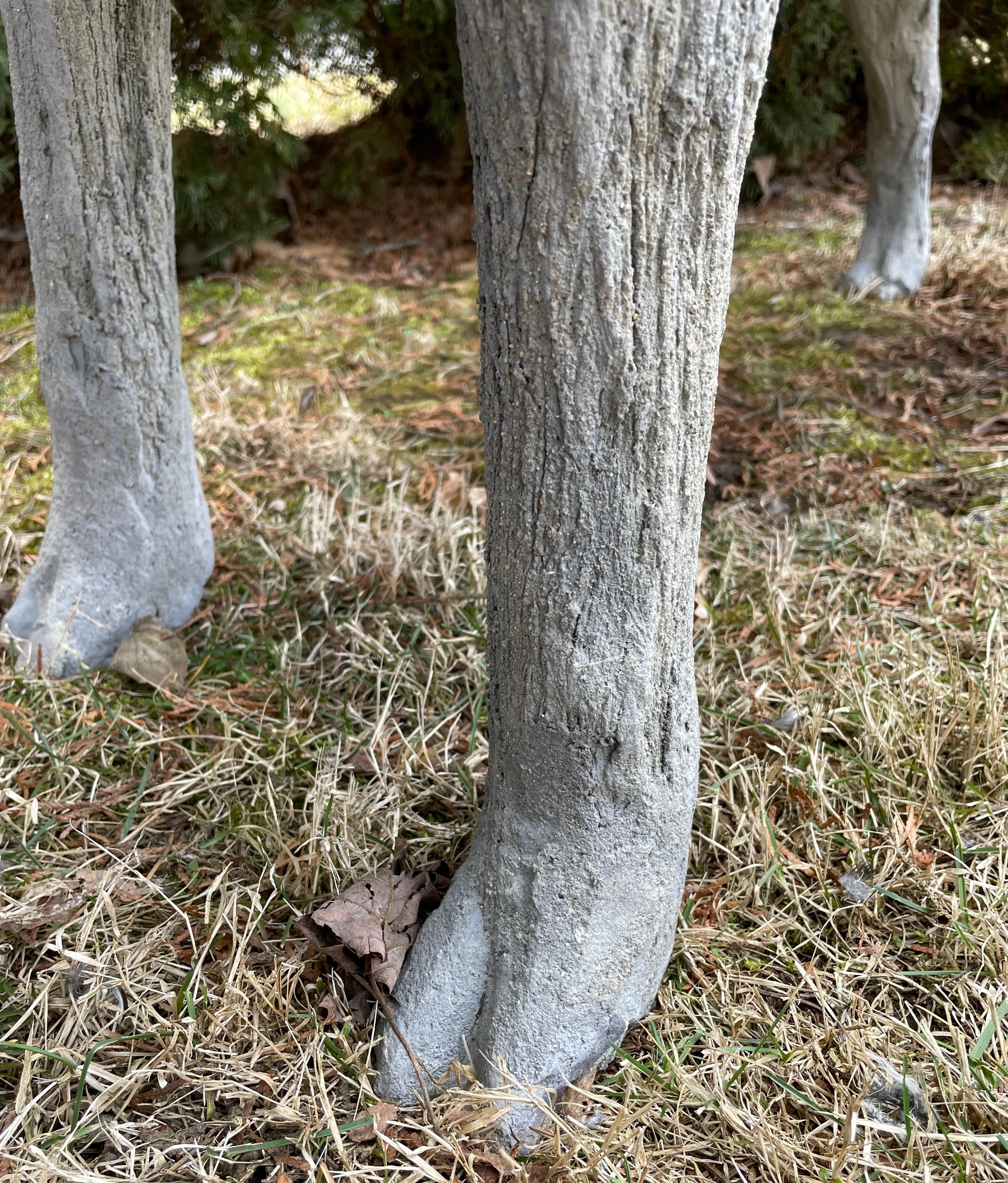 Magnificent Life-Size French 