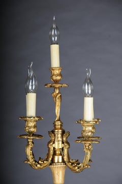 Magnificent Louis XV Salon Floor Lamp, electr., Paris from 1880, Napoleon III