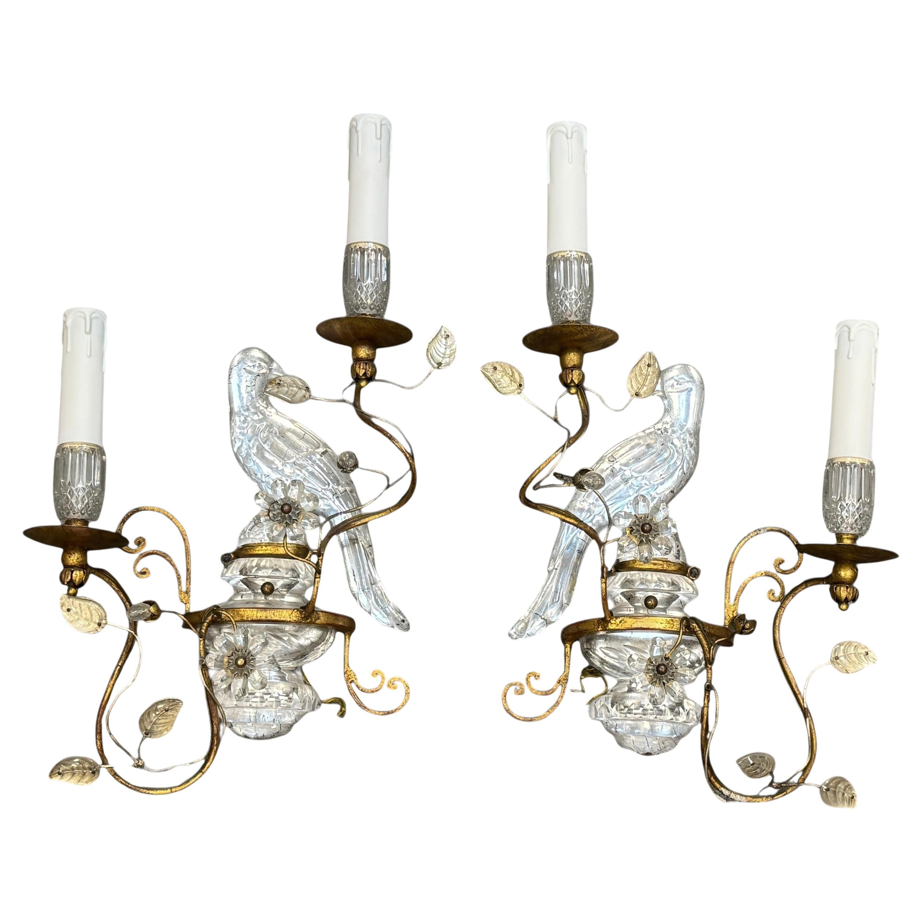 Paire de magnifiques appliques perroquets en fer doré et verre de la Maison Baguès