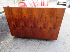Handsome Milo Baughman style Rosewood Case Sofa Thayer Coggin Mid-Century Modern