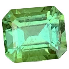 Magnificent Mint Green Tourmaline Gem 1.60 Carats Tourmaline Stone for Jewelry