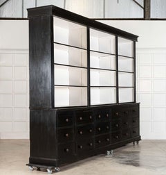 Magnificent Monumental Ebonised French Dresser / Bookcase