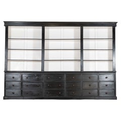 Magnificent Monumental Ebonised French Dresser / Bookcase