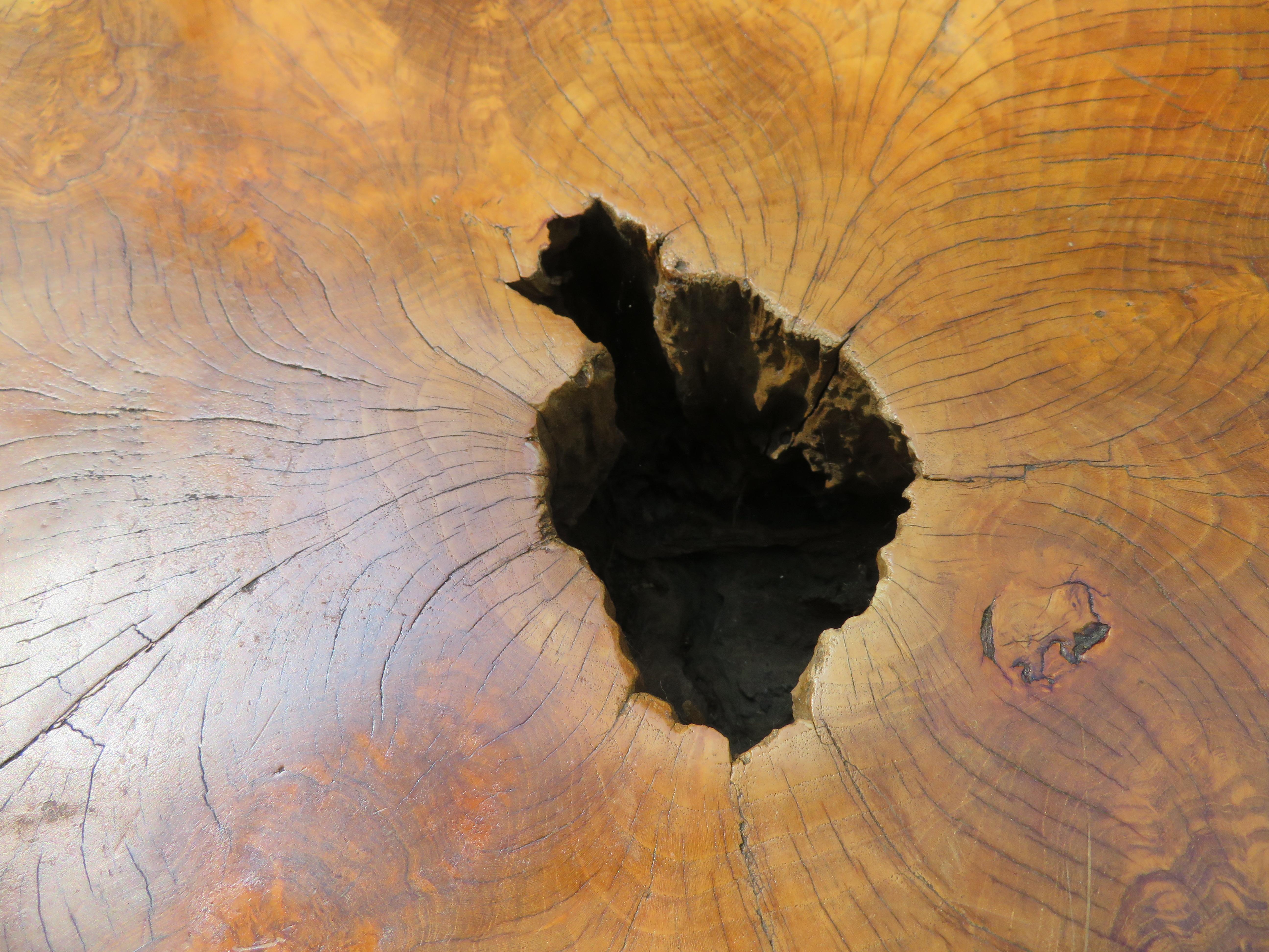 Magnifique table basse en teck brut naturel et bois de feuillus organique en vente 3