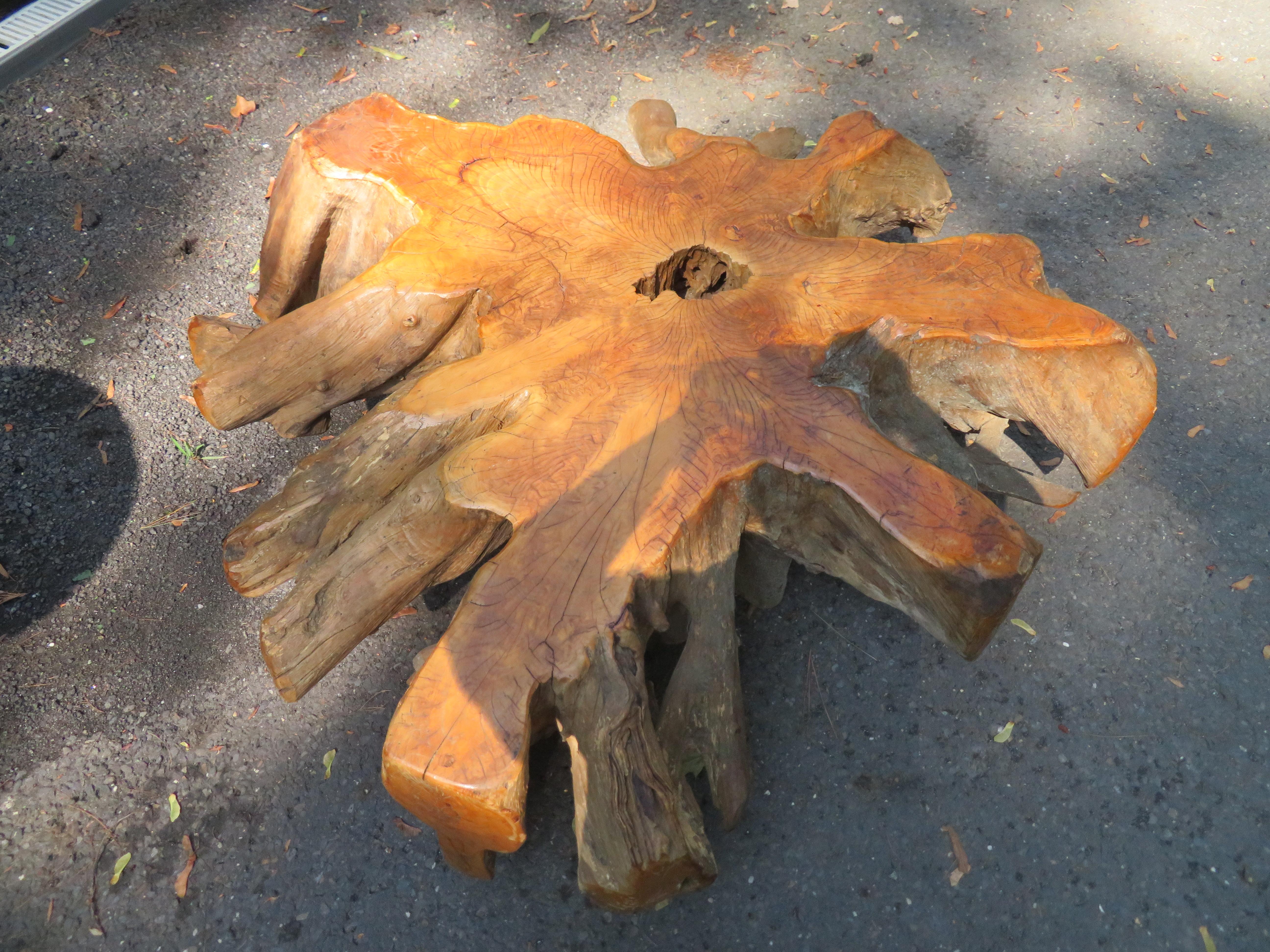 Magnificent Natural Raw Teak Hardwood Organic Root Coffee Table For Sale 6