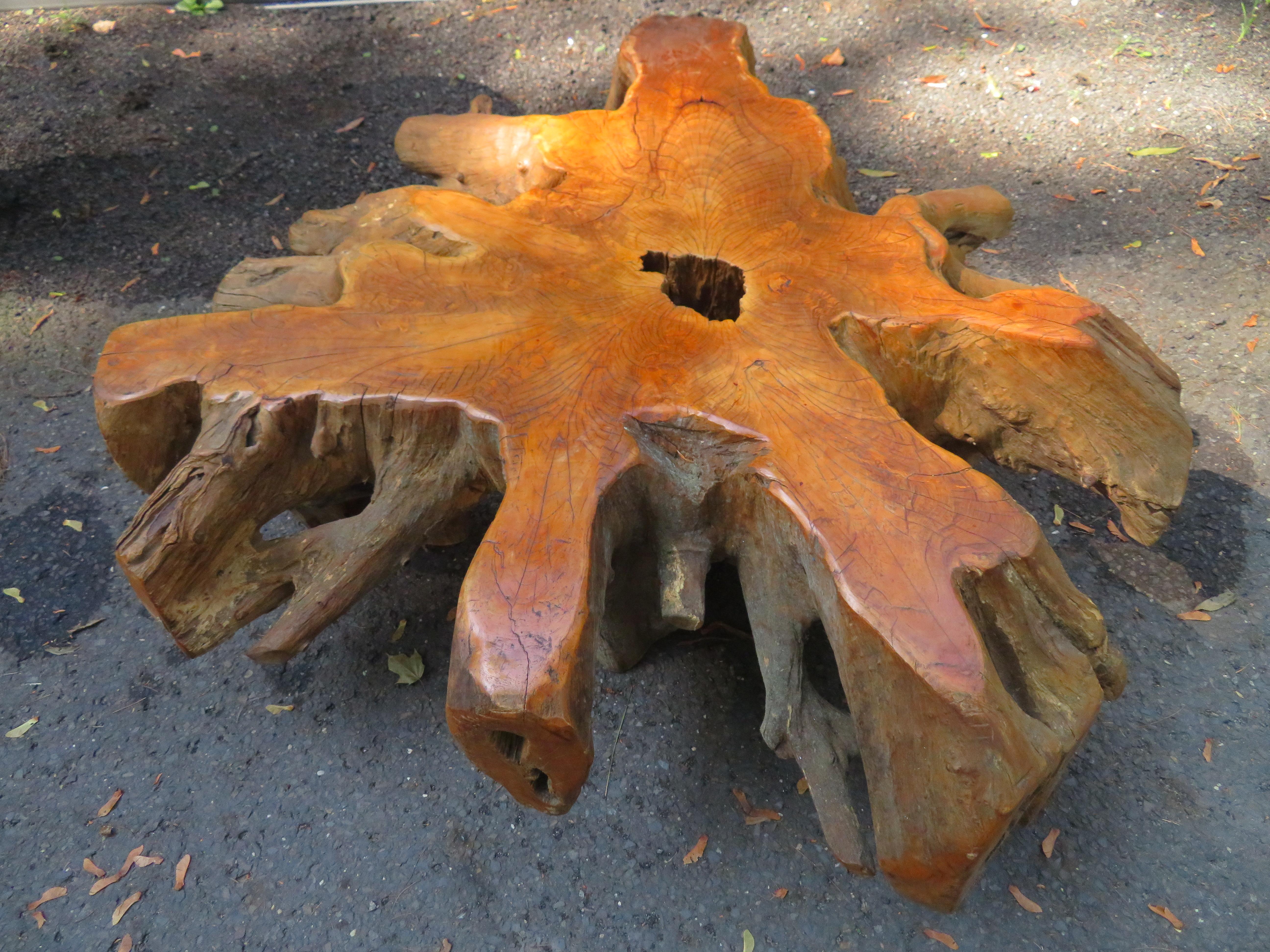 Américain Magnifique table basse en teck brut naturel et bois de feuillus organique en vente