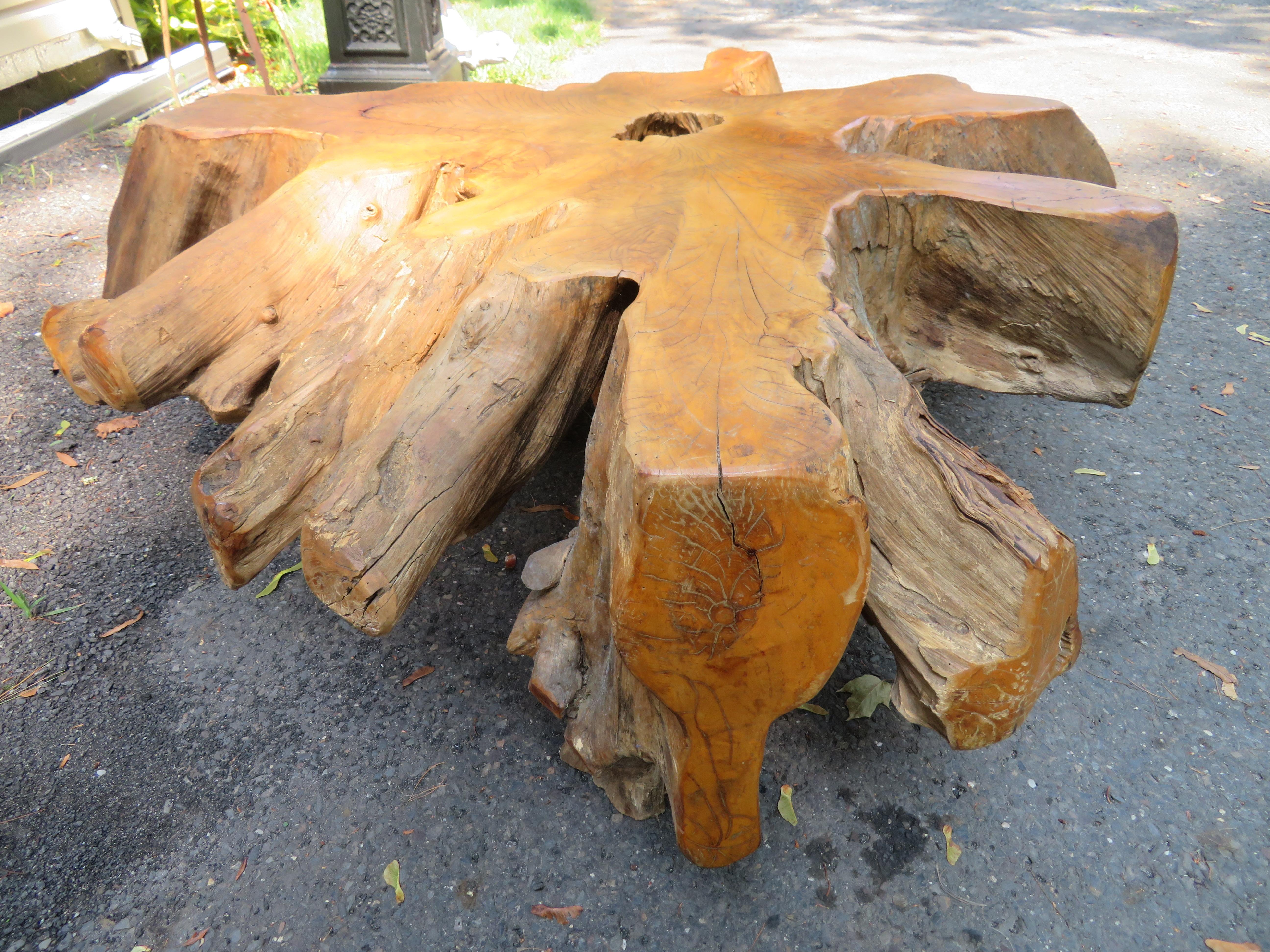 Magnificent Natural Raw Teak Hardwood Organic Root Coffee Table In Good Condition For Sale In Pemberton, NJ