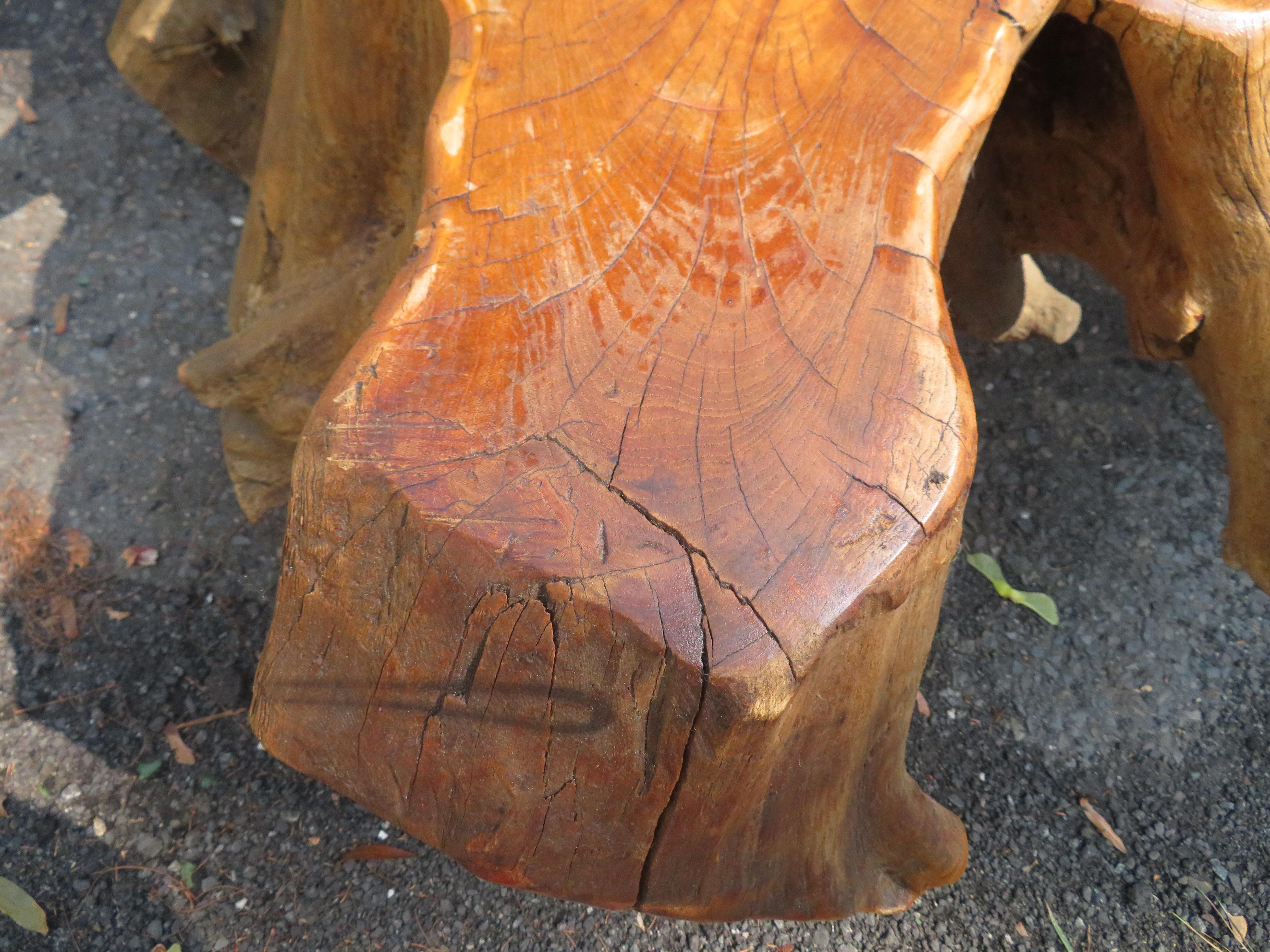 Late 20th Century Magnificent Natural Raw Teak Hardwood Organic Root Coffee Table For Sale