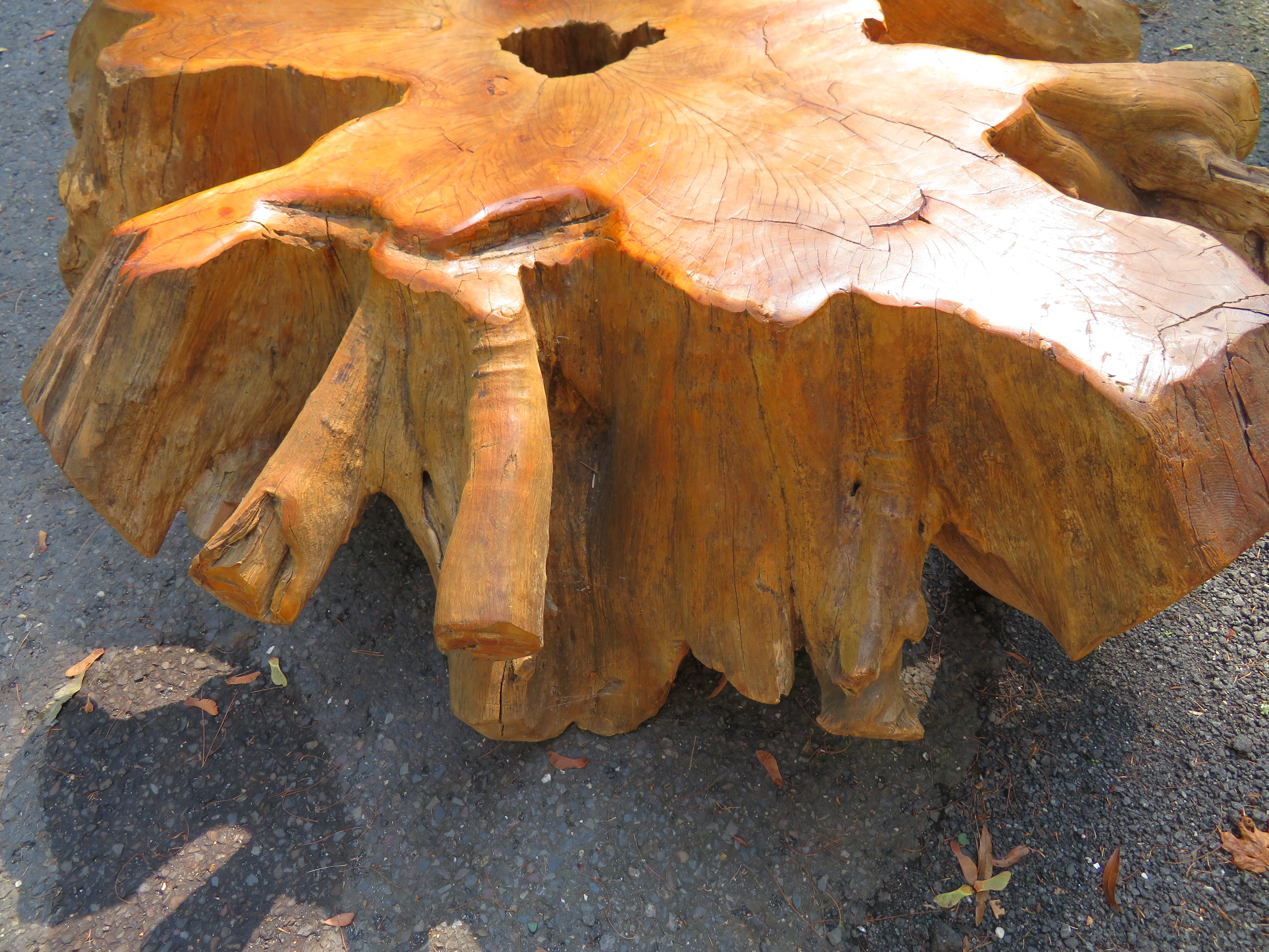 Teck Magnifique table basse en teck brut naturel et bois de feuillus organique en vente