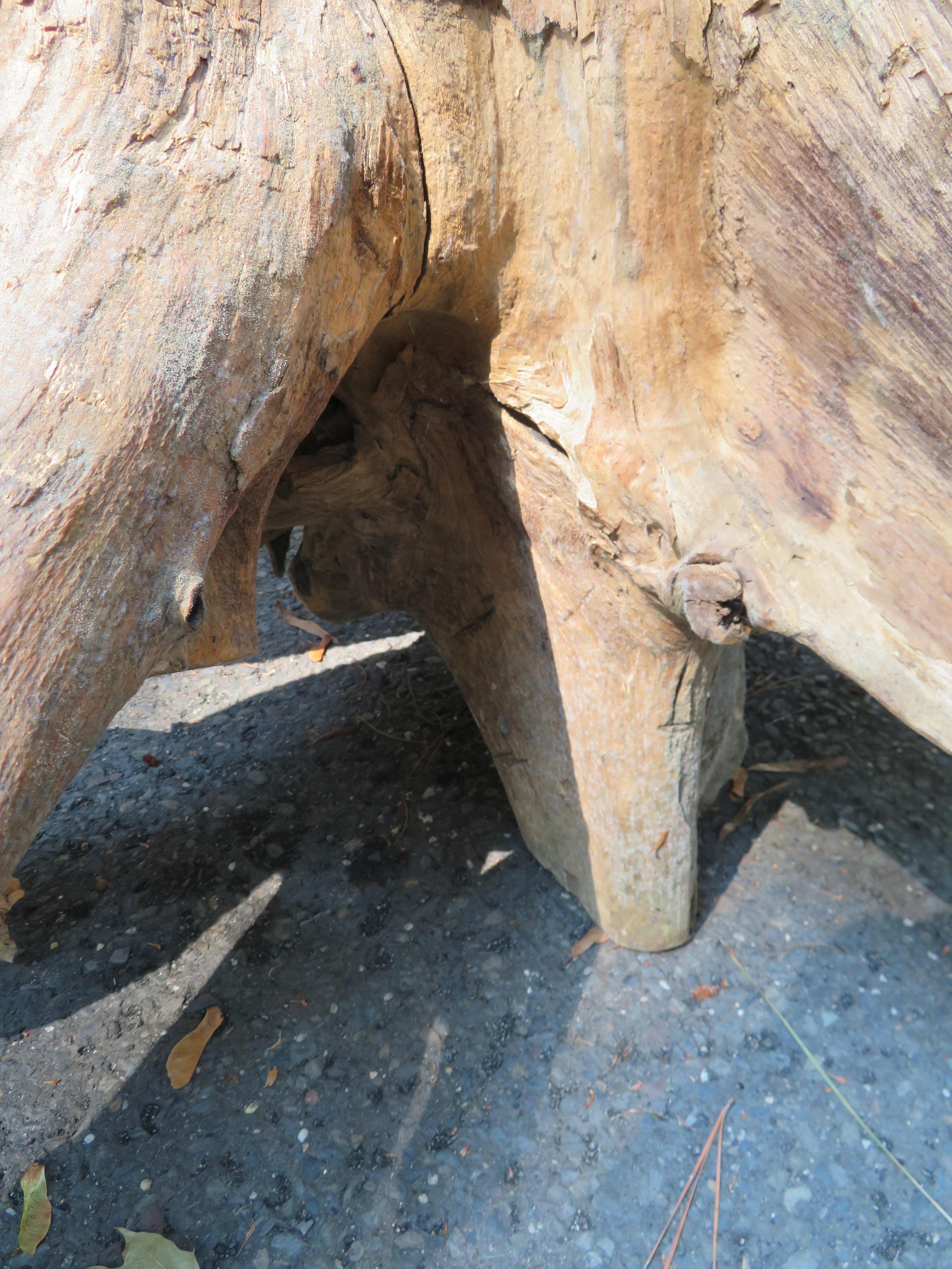 Magnifique table basse en teck brut naturel et bois de feuillus organique en vente 1