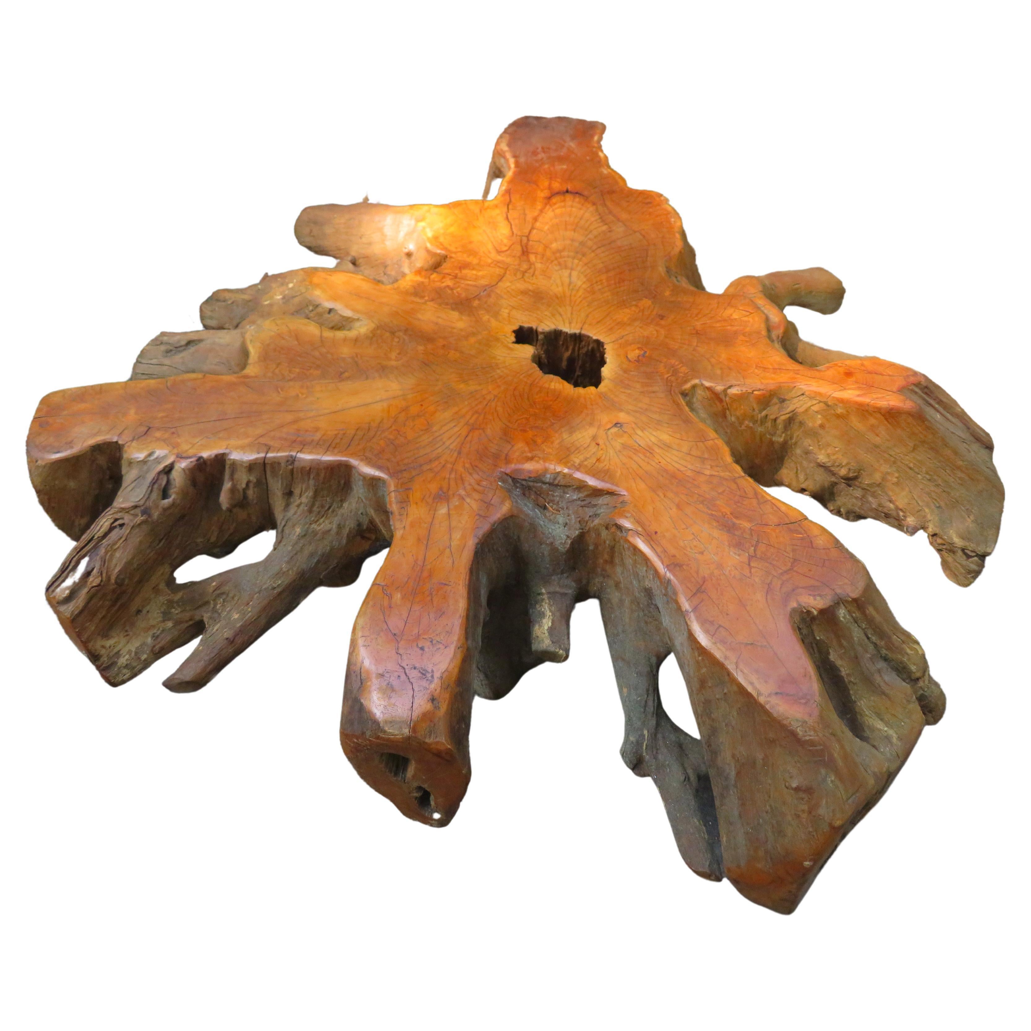 Magnificent Natural Raw Teak Hardwood Organic Root Coffee Table For Sale