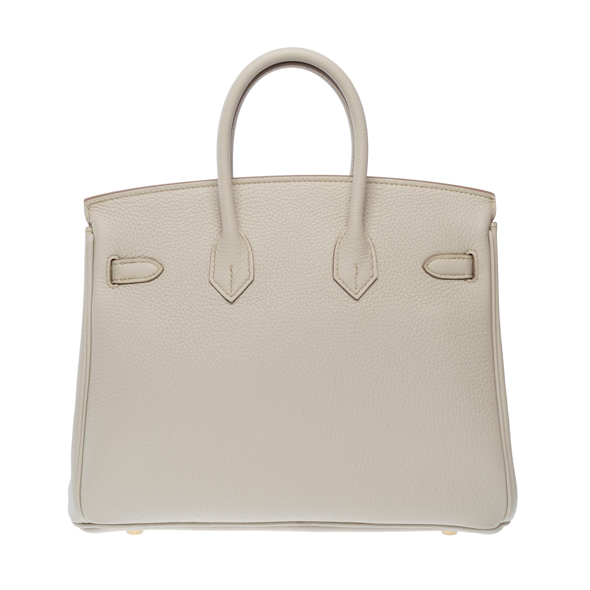 Magnificent New Hermes Birkin 25 handbag in Beton Grey Togo leather, GHW In New Condition For Sale In Paris, IDF
