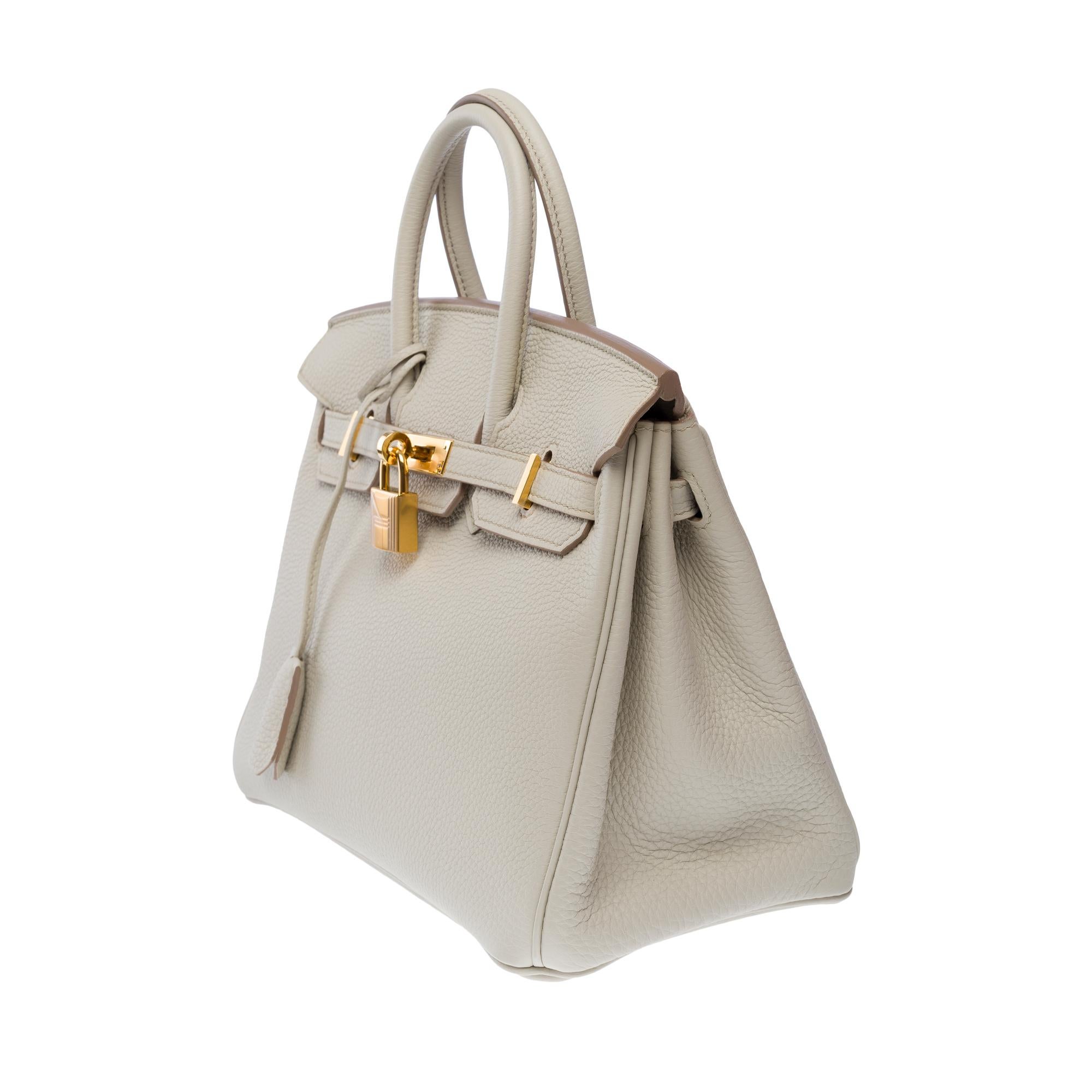 Women's Magnificent New Hermes Birkin 25 handbag in Beton Grey Togo leather, GHW For Sale