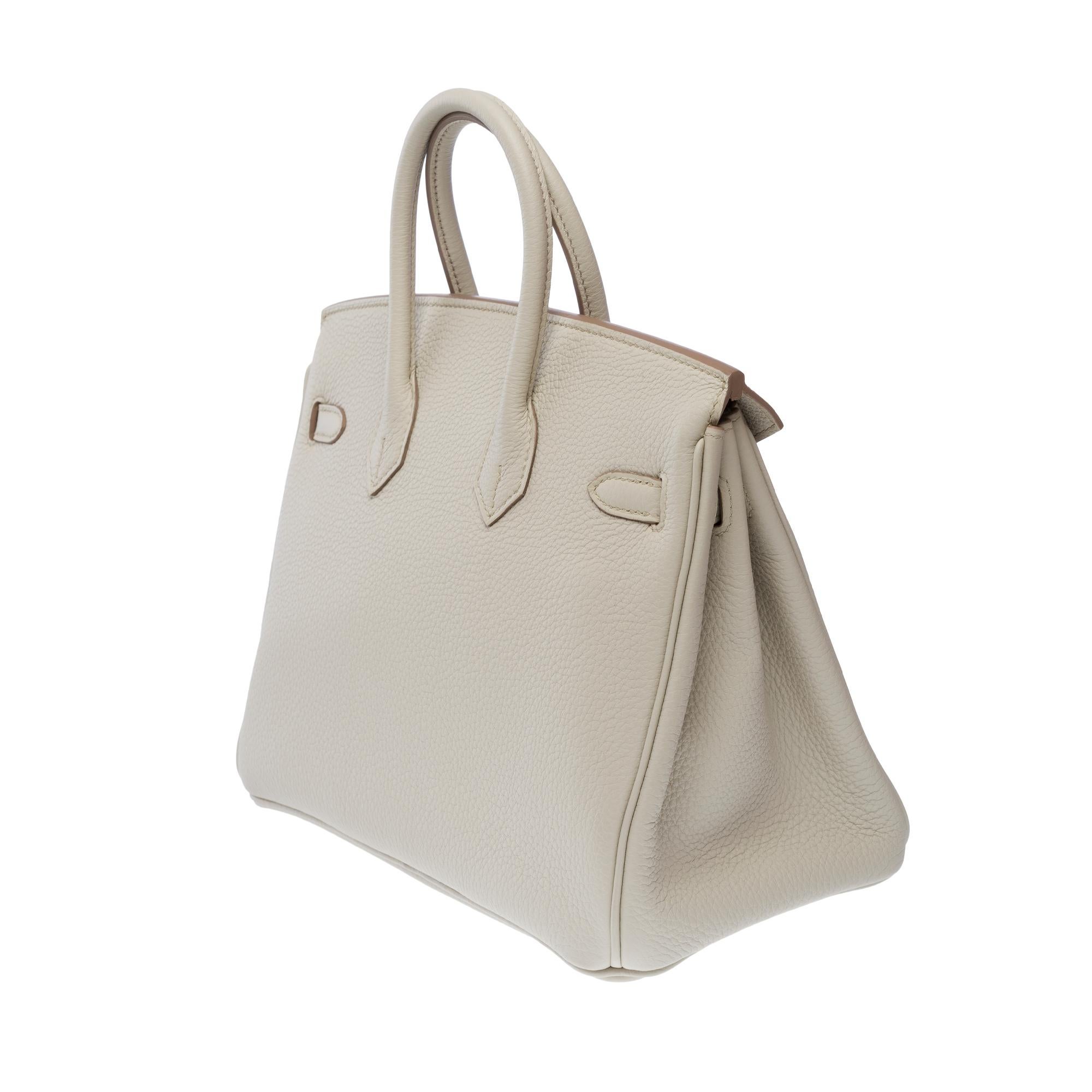 Magnificent New Hermes Birkin 25 handbag in Beton Grey Togo leather, GHW For Sale 1