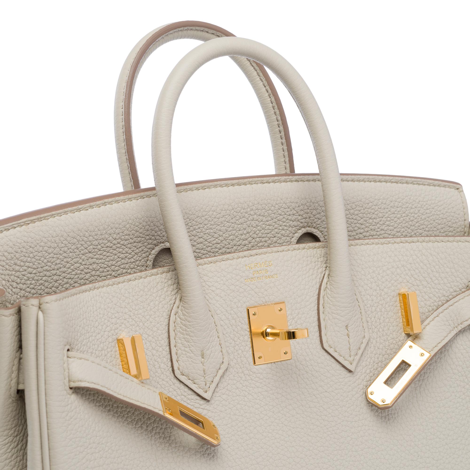 Magnificent New Hermes Birkin 25 handbag in Beton Grey Togo leather, GHW For Sale 2