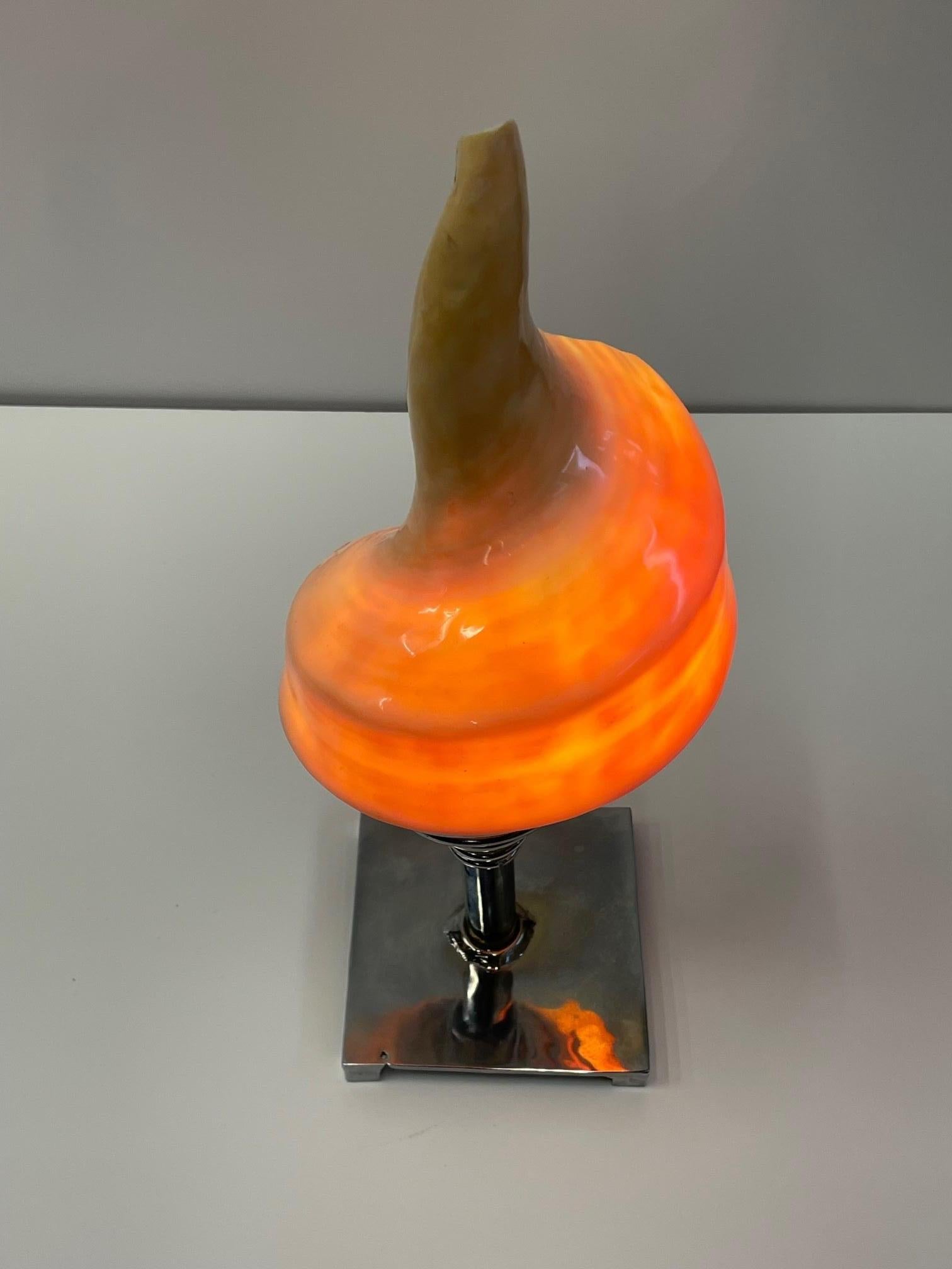 Magnificent Objet d'arte Shell Table Lamp 5
