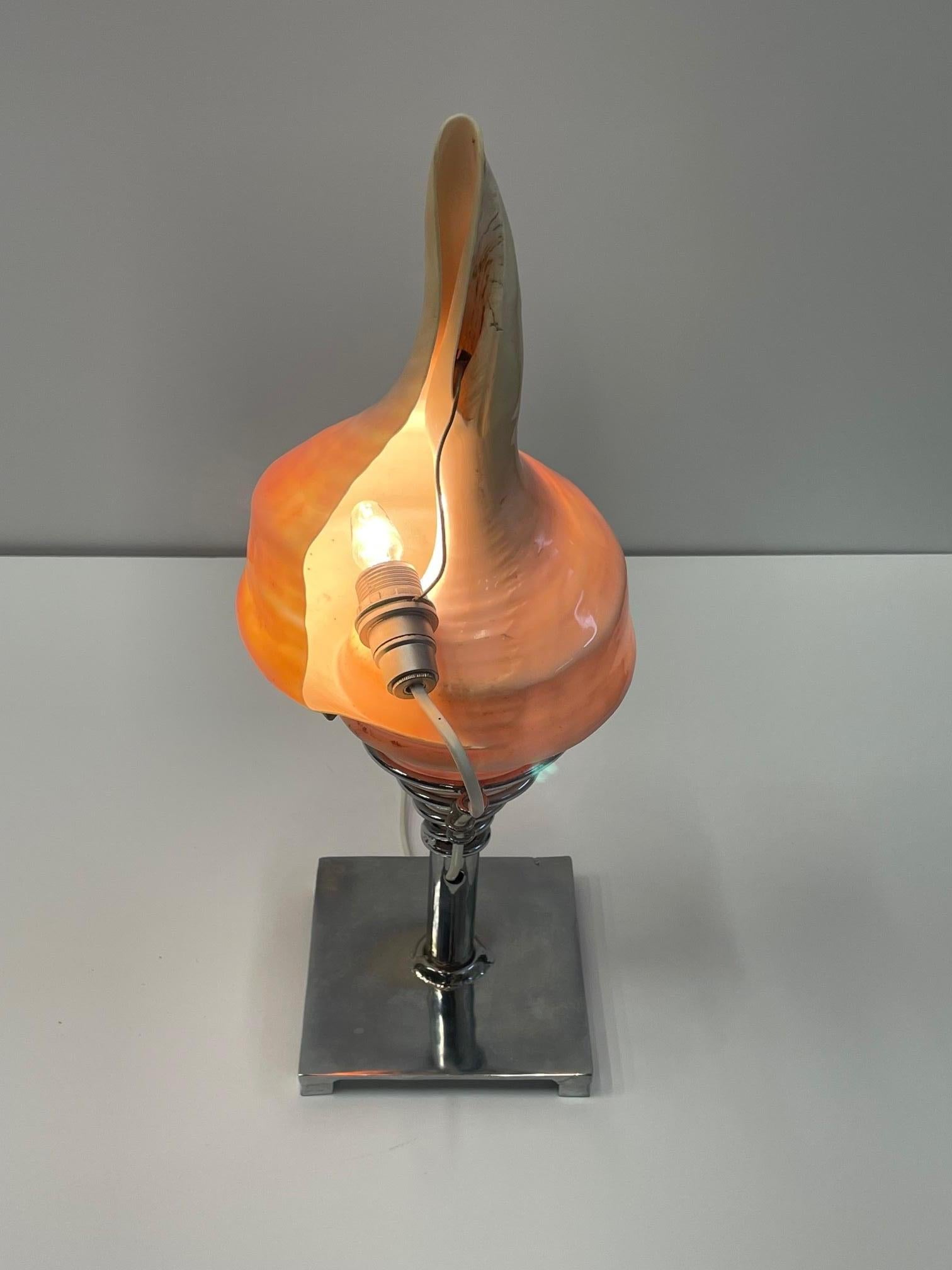 Late 20th Century Magnificent Objet d'arte Shell Table Lamp