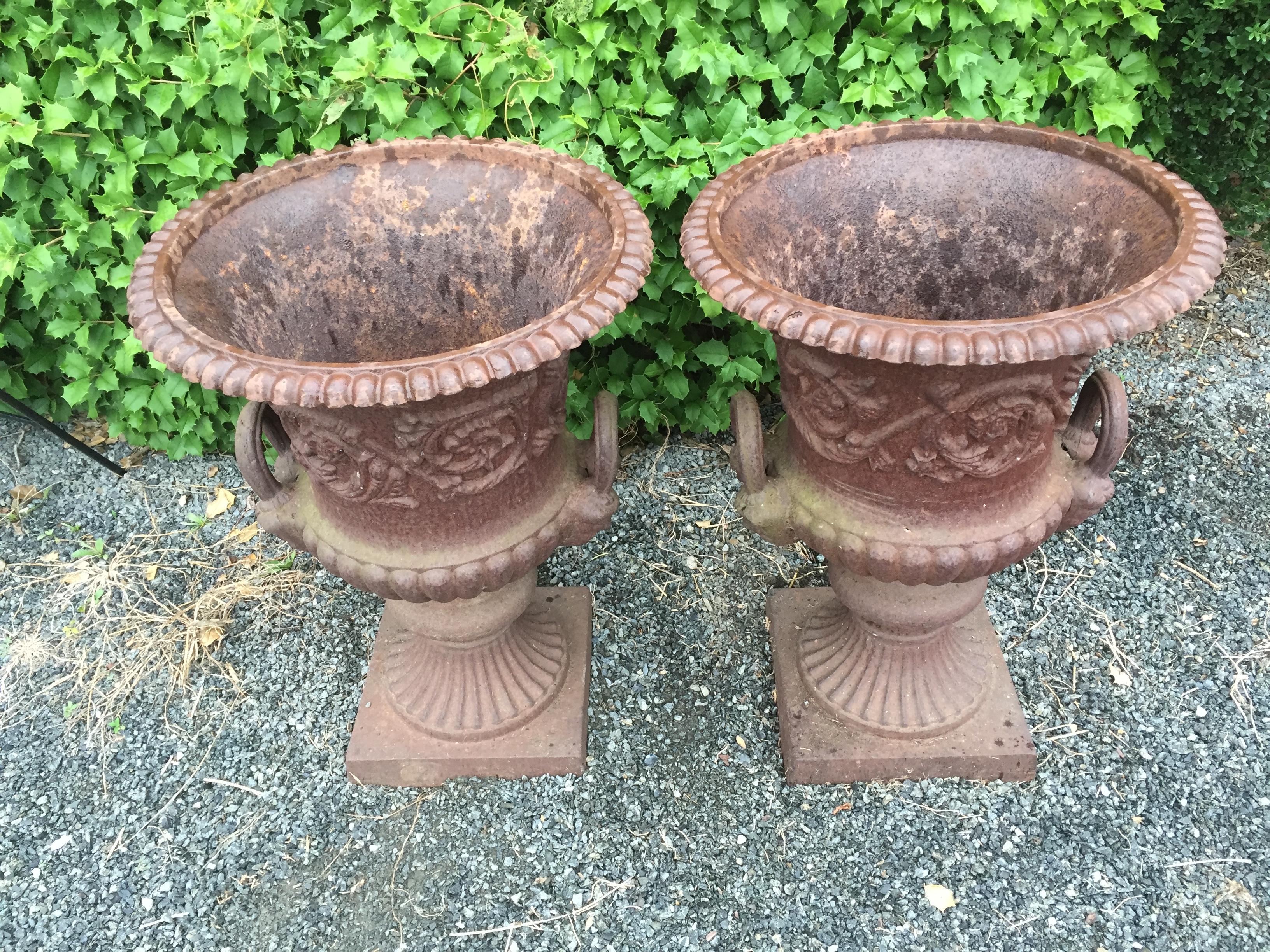Neoclassical Magnificent Pair of 19th Century Ornate English Garden Jardinaires
