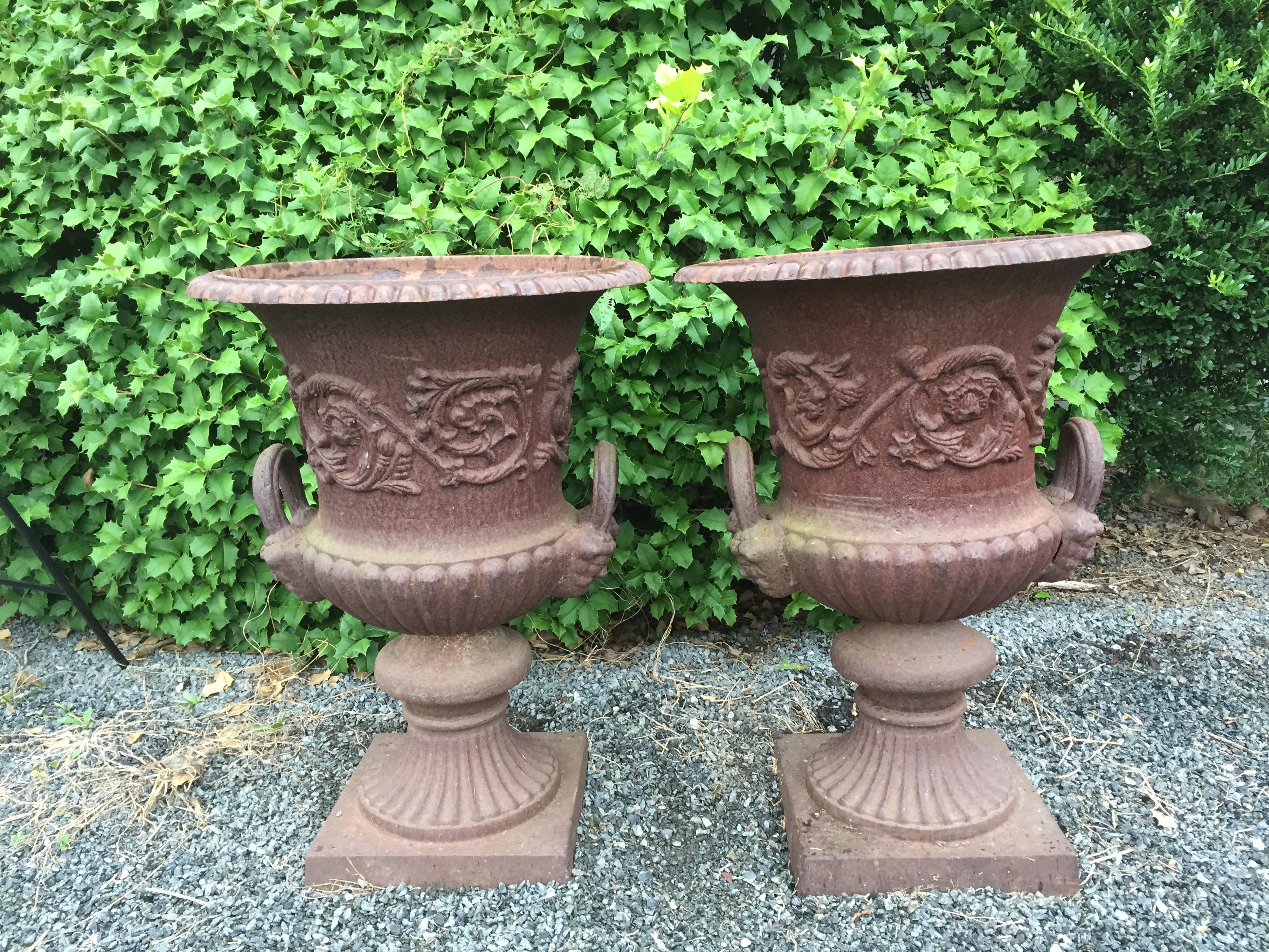 Magnificent Pair of 19th Century Ornate English Garden Jardinaires In Excellent Condition In Hopewell, NJ