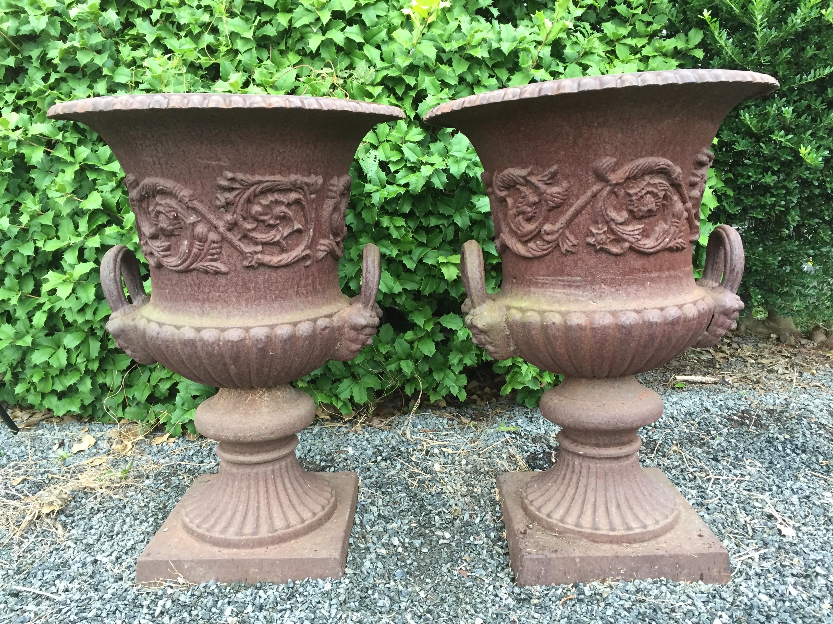 Iron Magnificent Pair of 19th Century Ornate English Garden Jardinaires