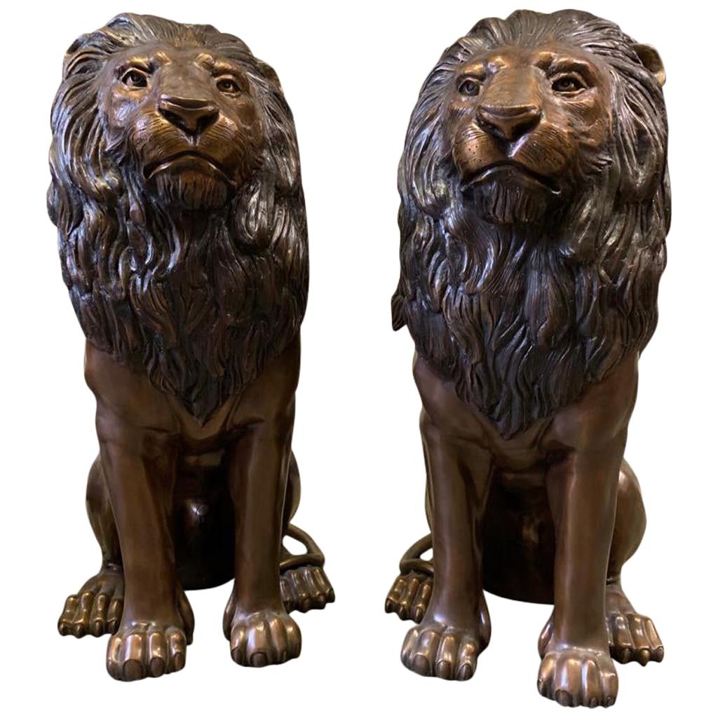 Magnificent Pair of Cast Bronze Sitting Lions, 20th Century For Sale