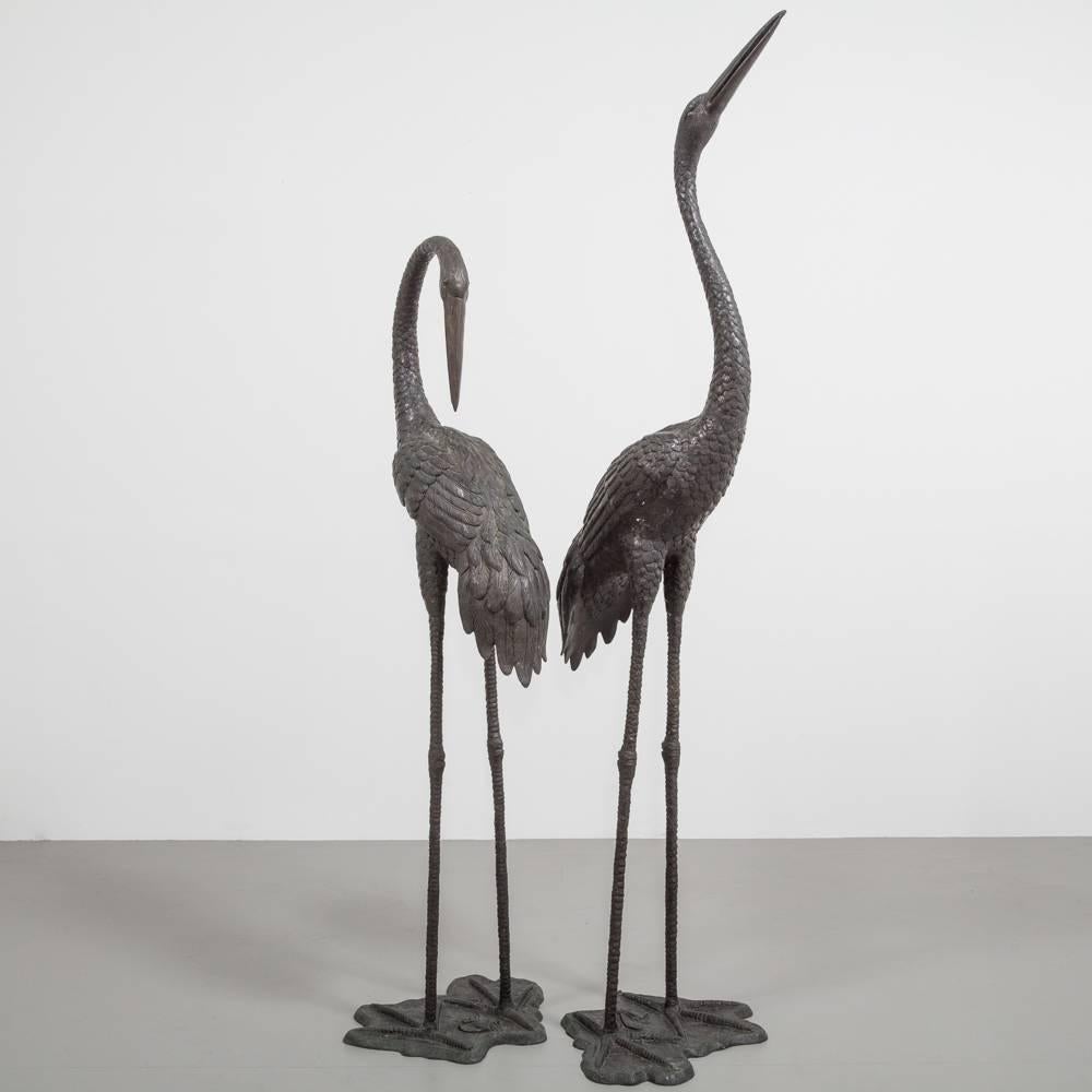 Magnificent pair of Italian bronze cranes, circa 1970s.

Each crane is plumbed for water to create a glorious fountain feature. They retain their original patina and are in great vintage condition.

Smaller bird measures H 210cm, W 60cm, D