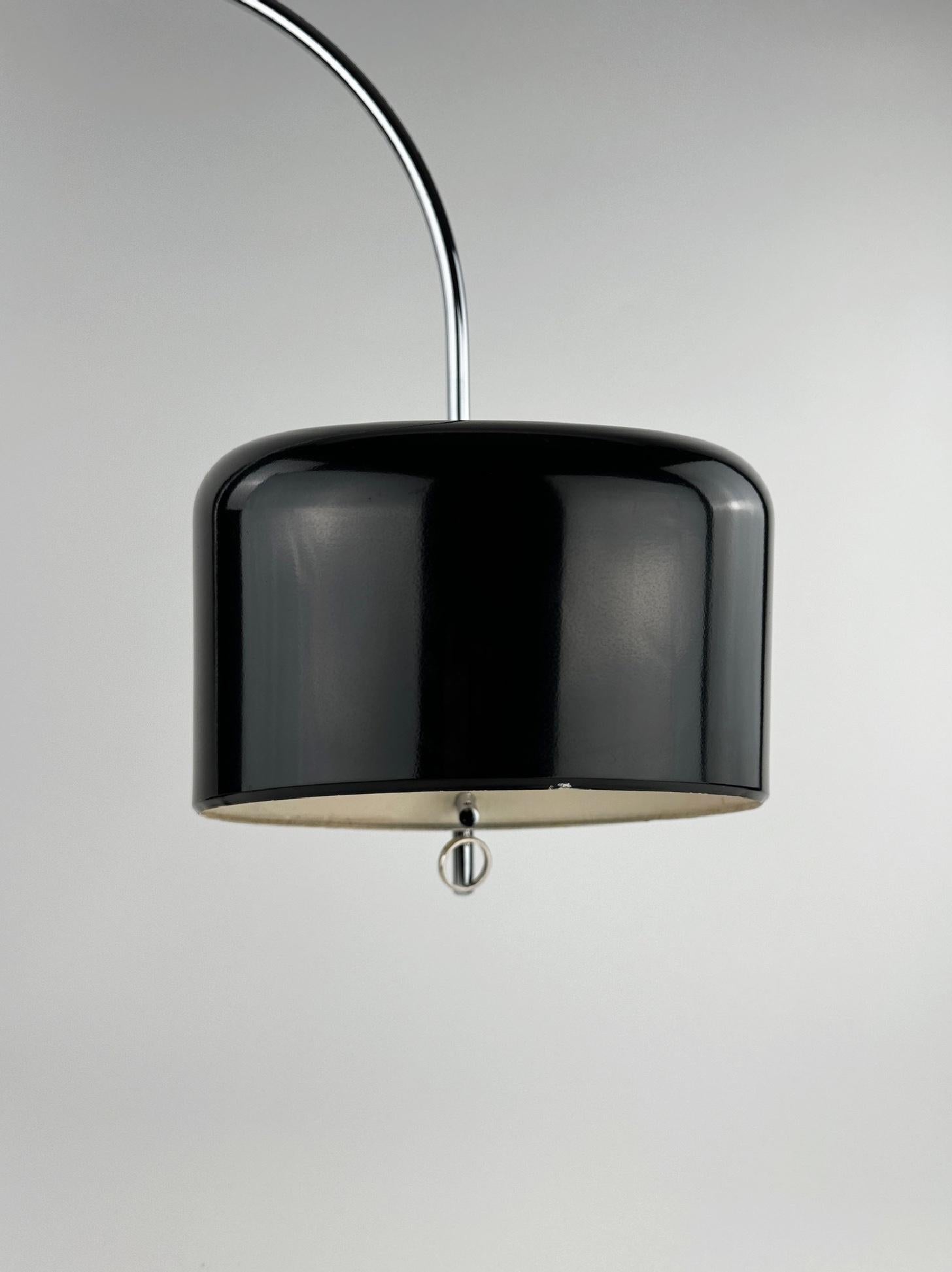 Lacquered Magnificent 